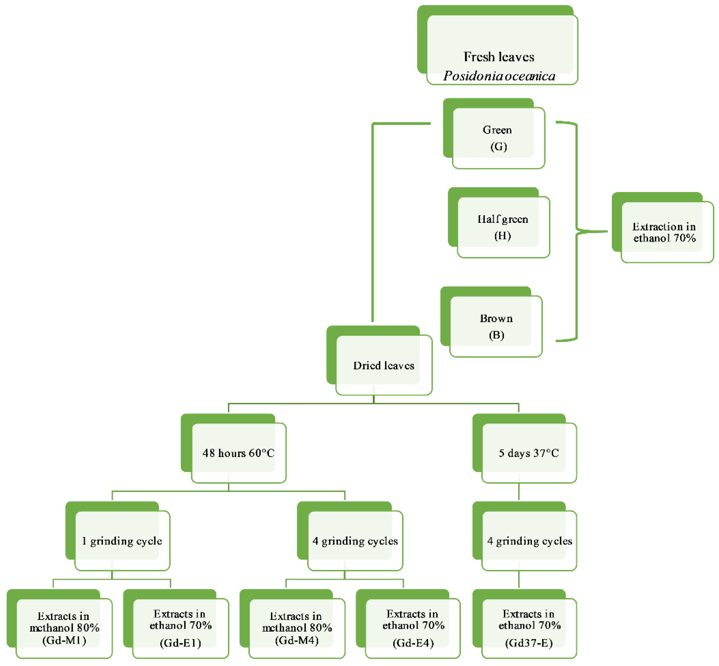 Marinedrugs 19 00560 g004 Marinedrugs 19 00560 g004