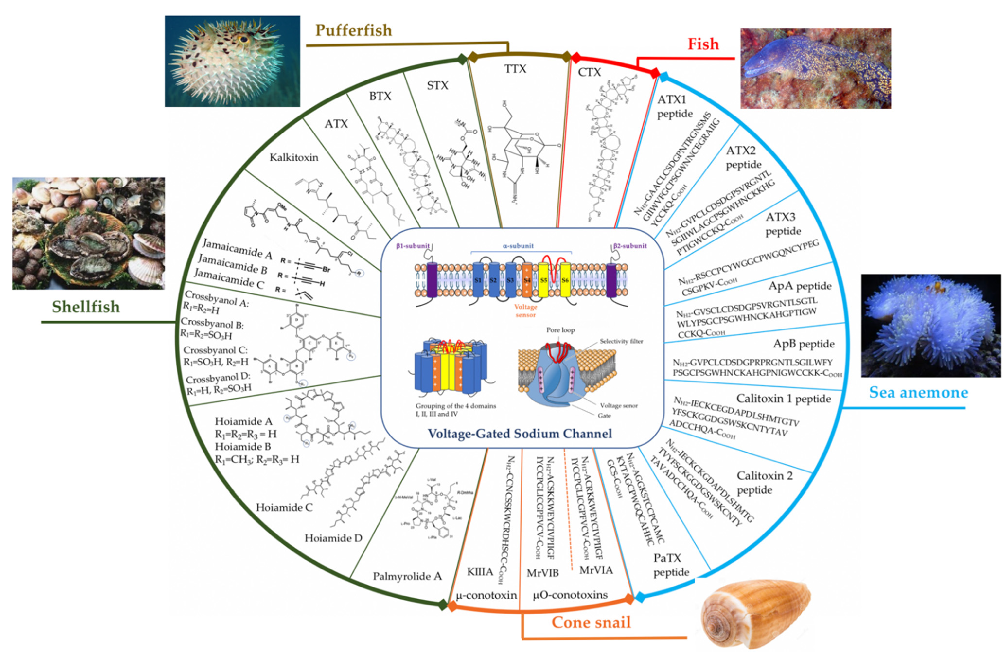 Marinedrugs 19 00562 g001