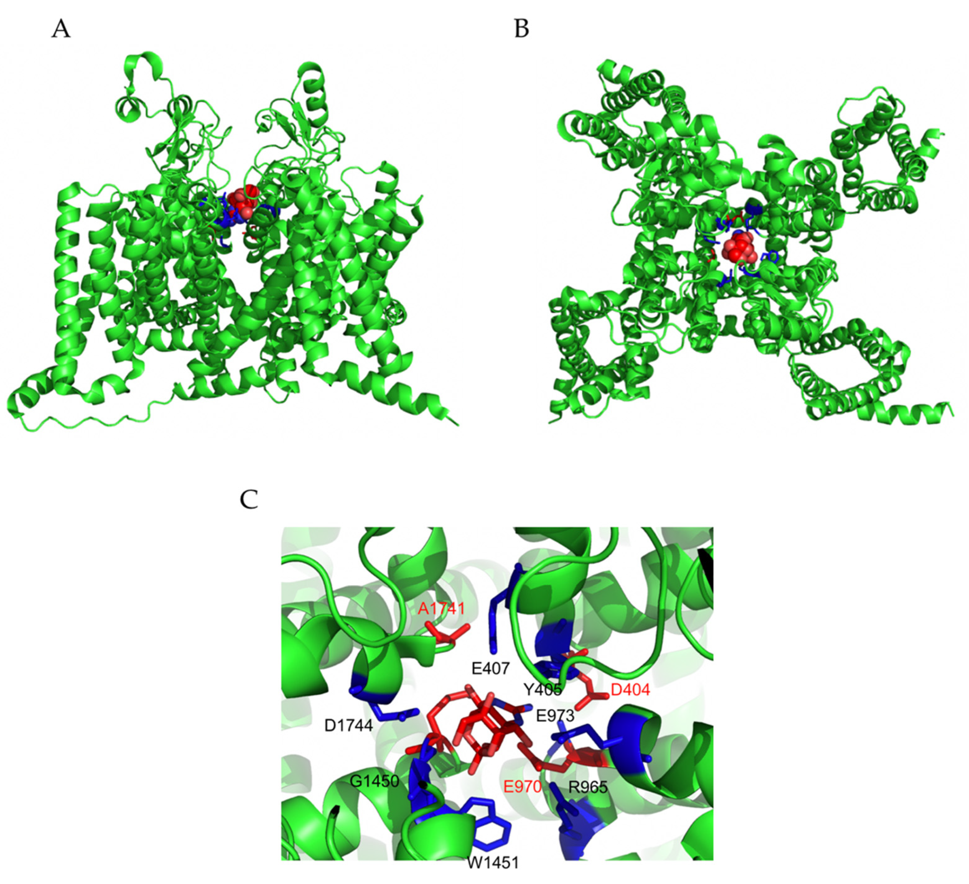 Marinedrugs 19 00562 g002