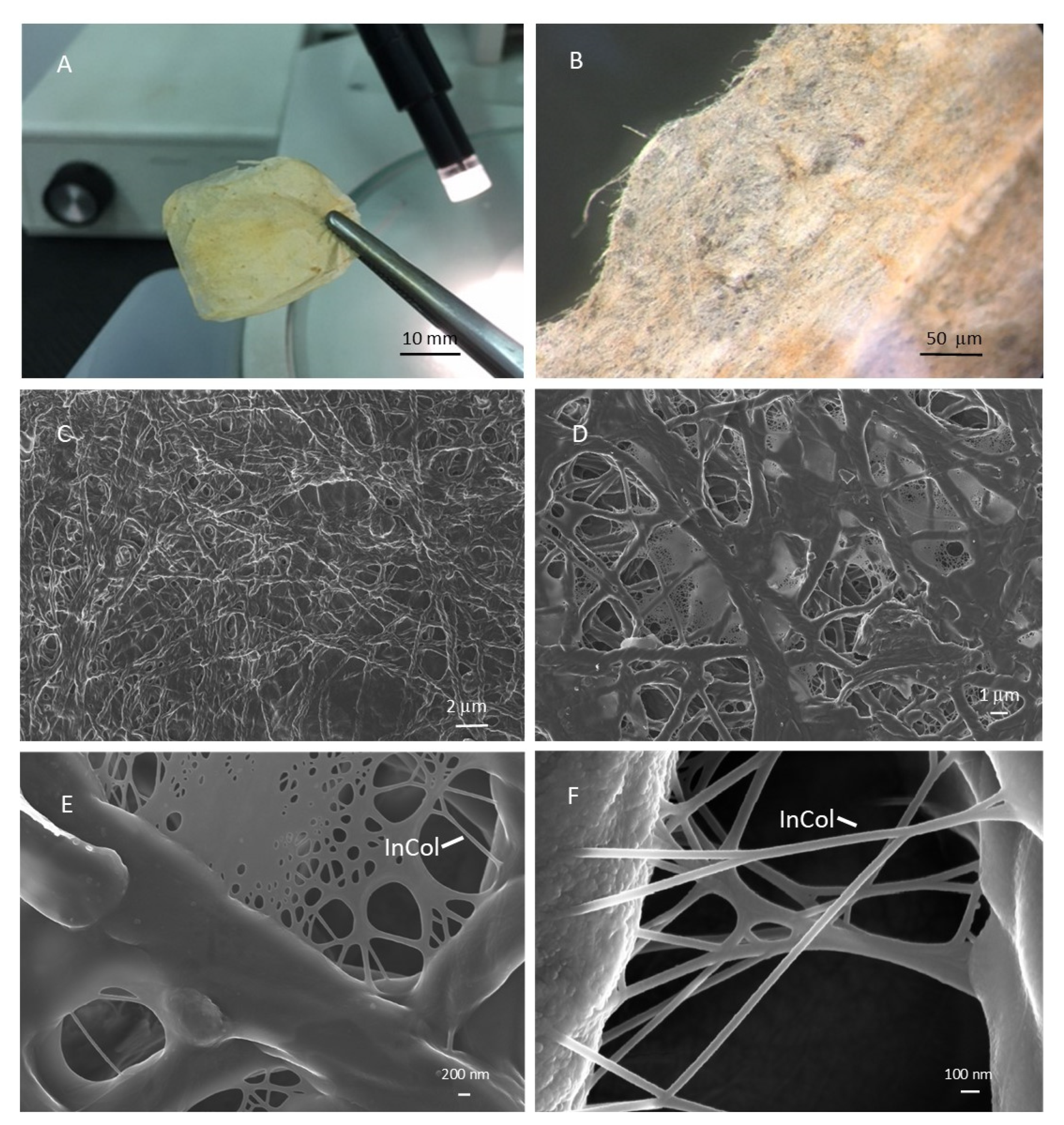 Marinedrugs 19 00563 g004