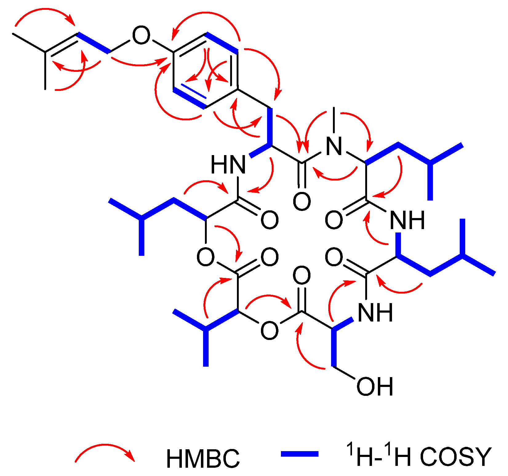 Marinedrugs 19 00565 g002