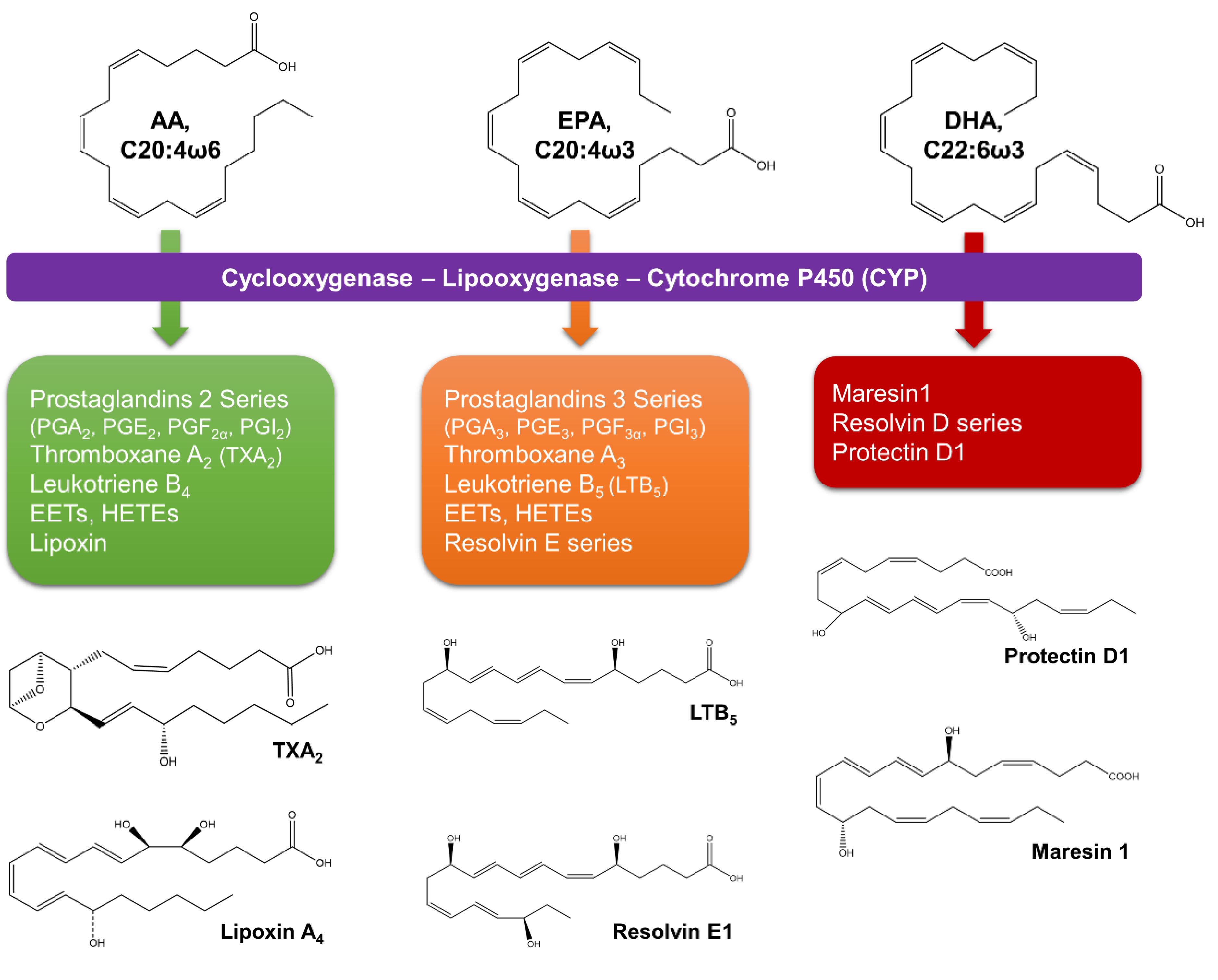 Marinedrugs 19 00573 g006