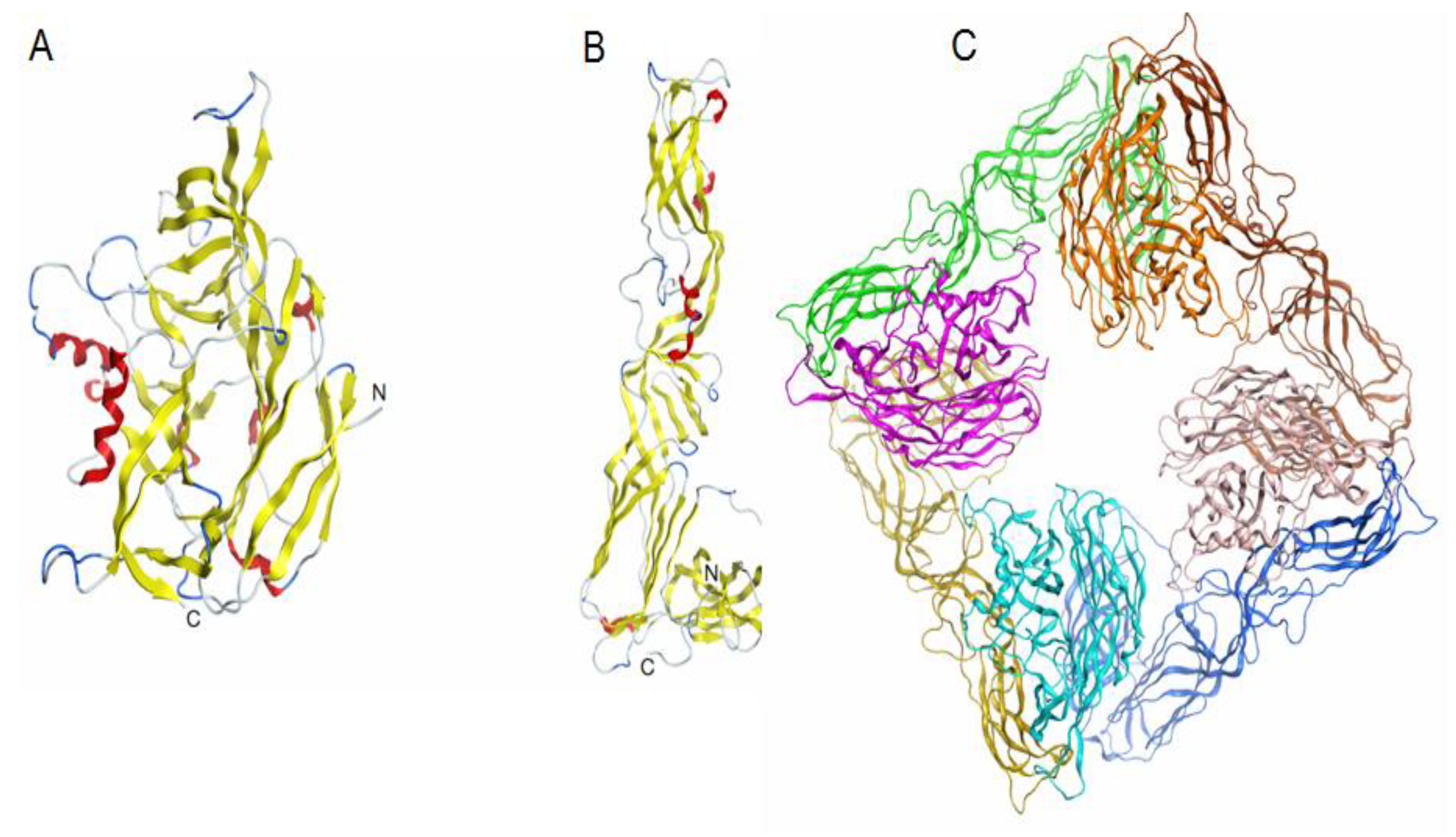 Marinedrugs 19 00577 g006