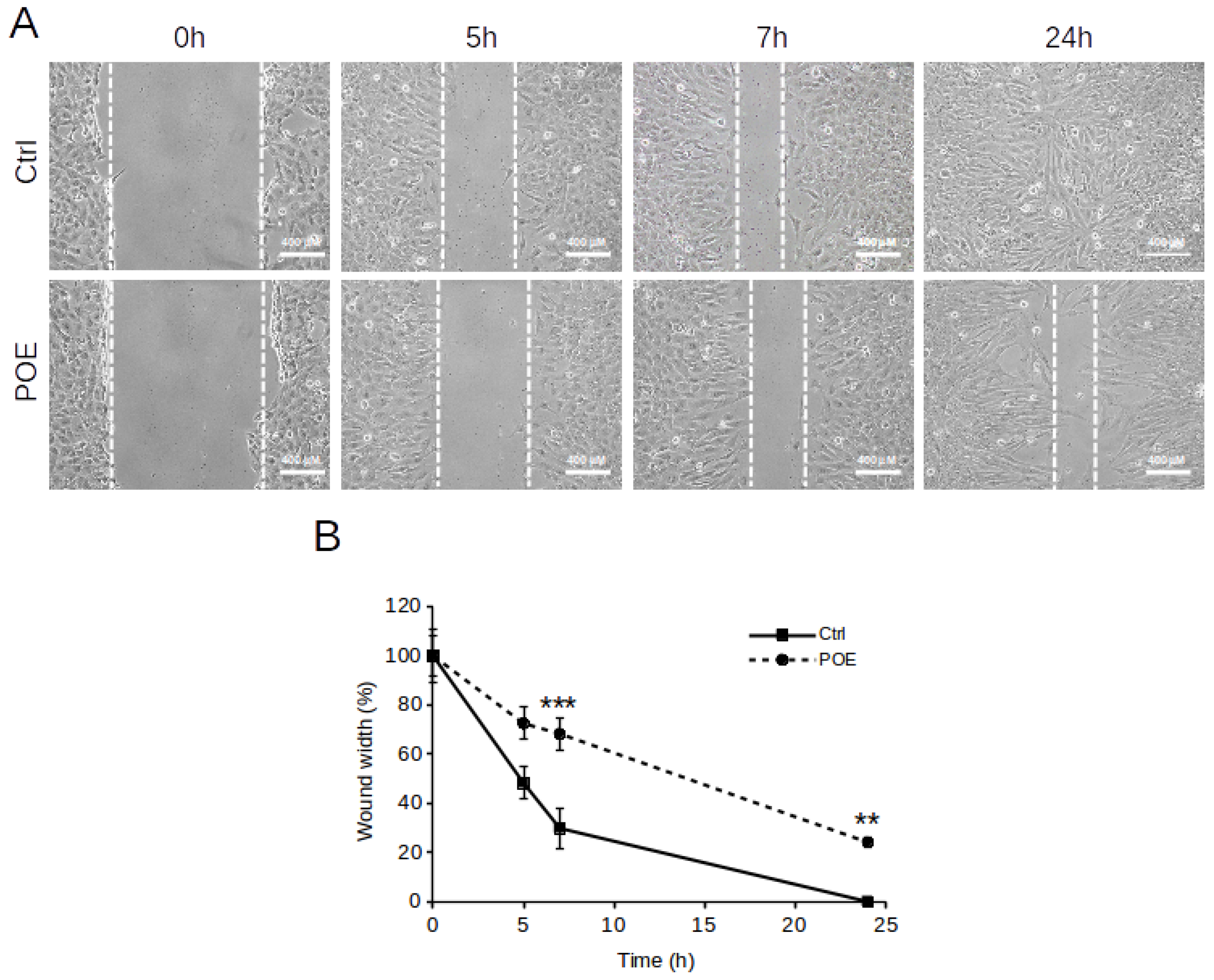 Marinedrugs 19 00579 g002