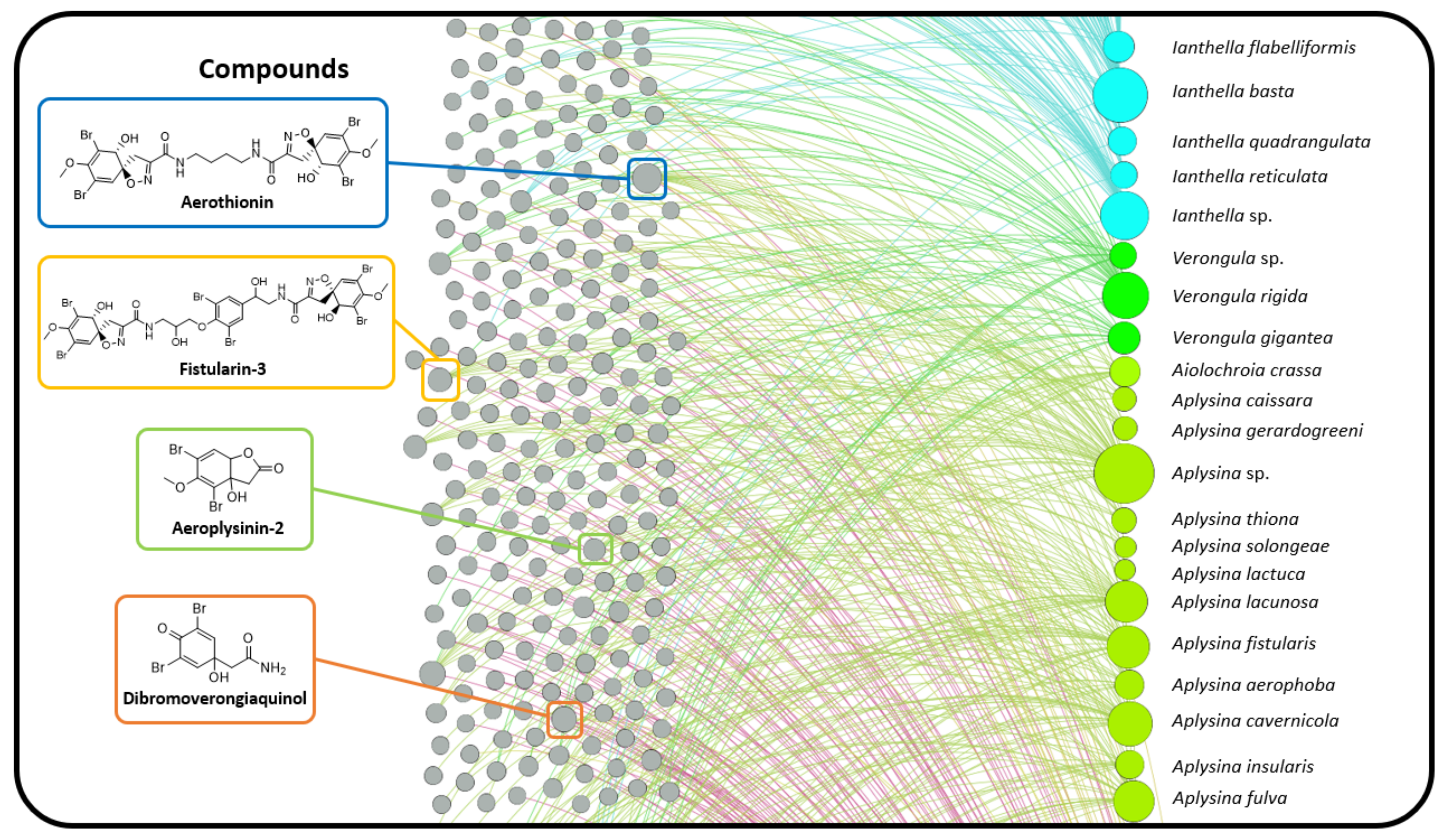 Marinedrugs 19 00582 g006