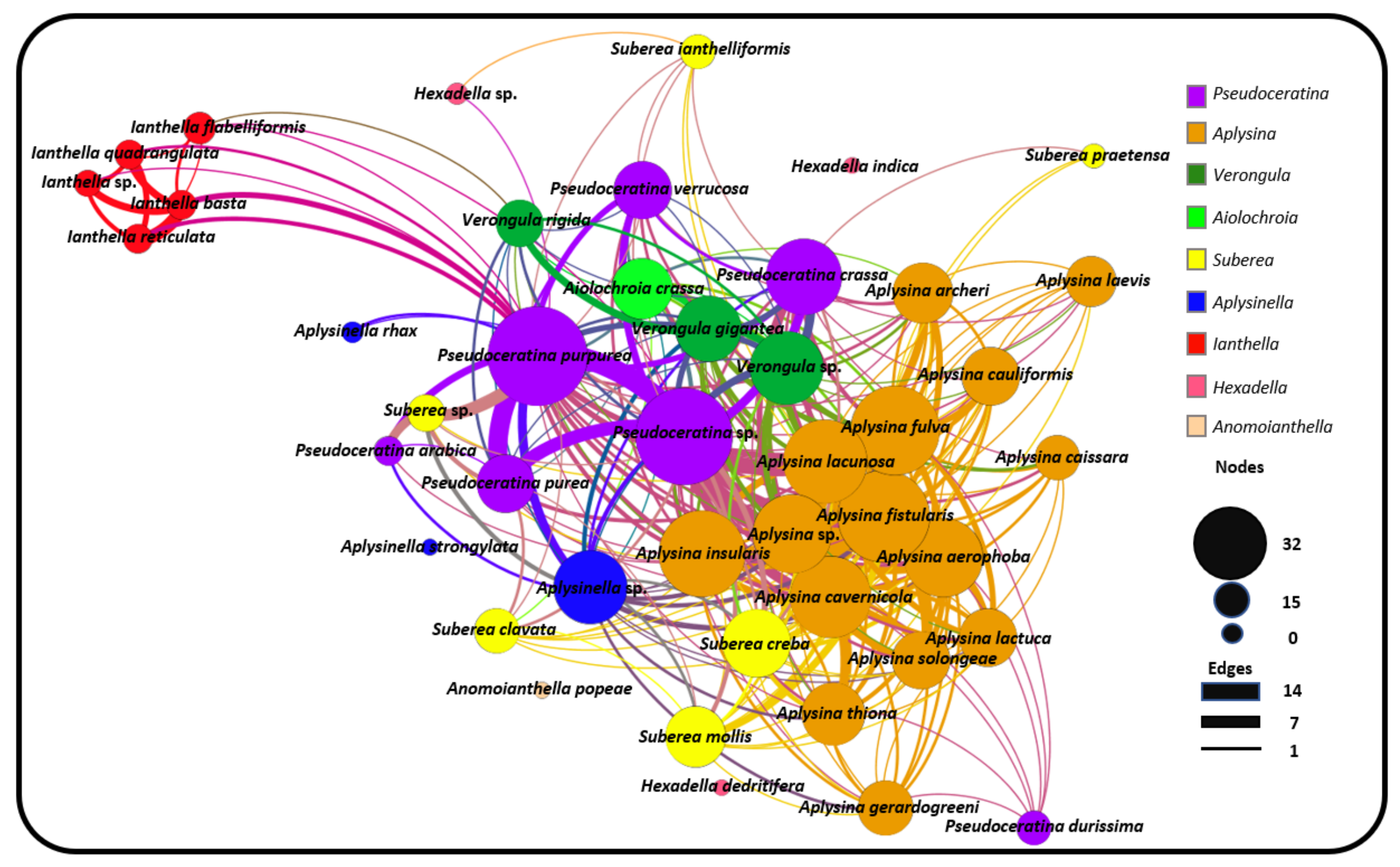 Marinedrugs 19 00582 g007