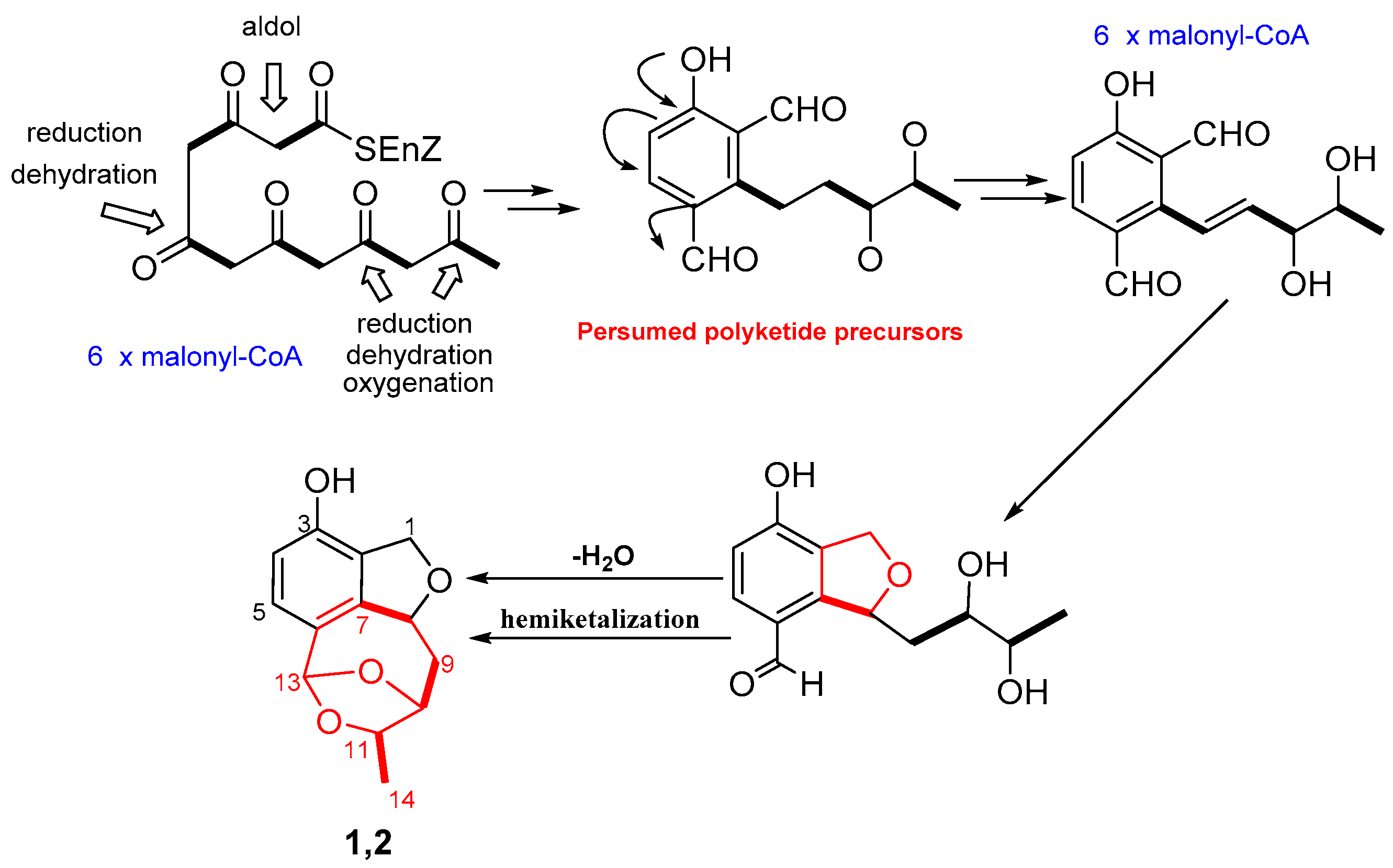 Marinedrugs 19 00585 sch001