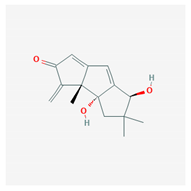 Marinedrugs 19 00586 i021