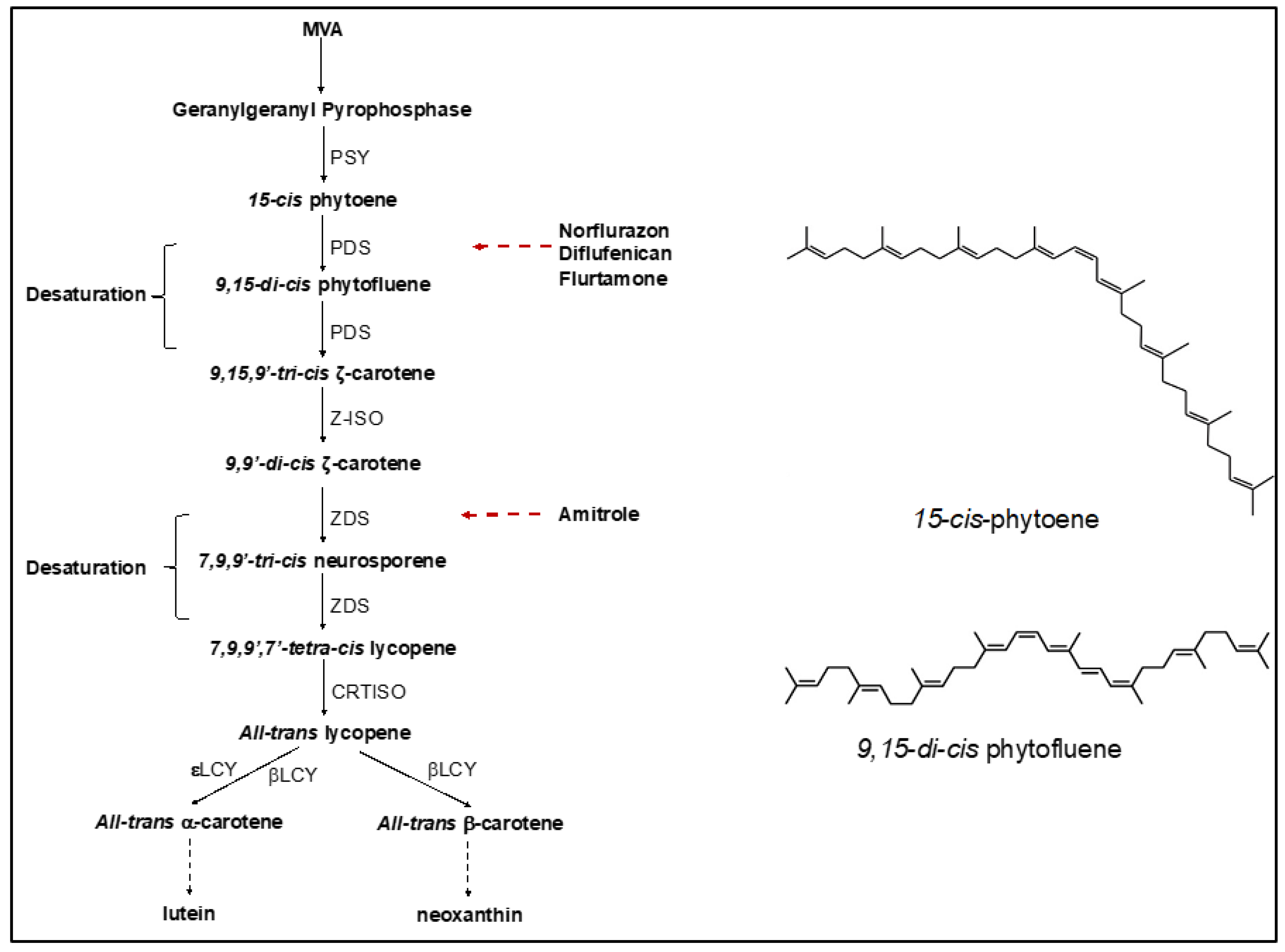 Marinedrugs 19 00595 g001