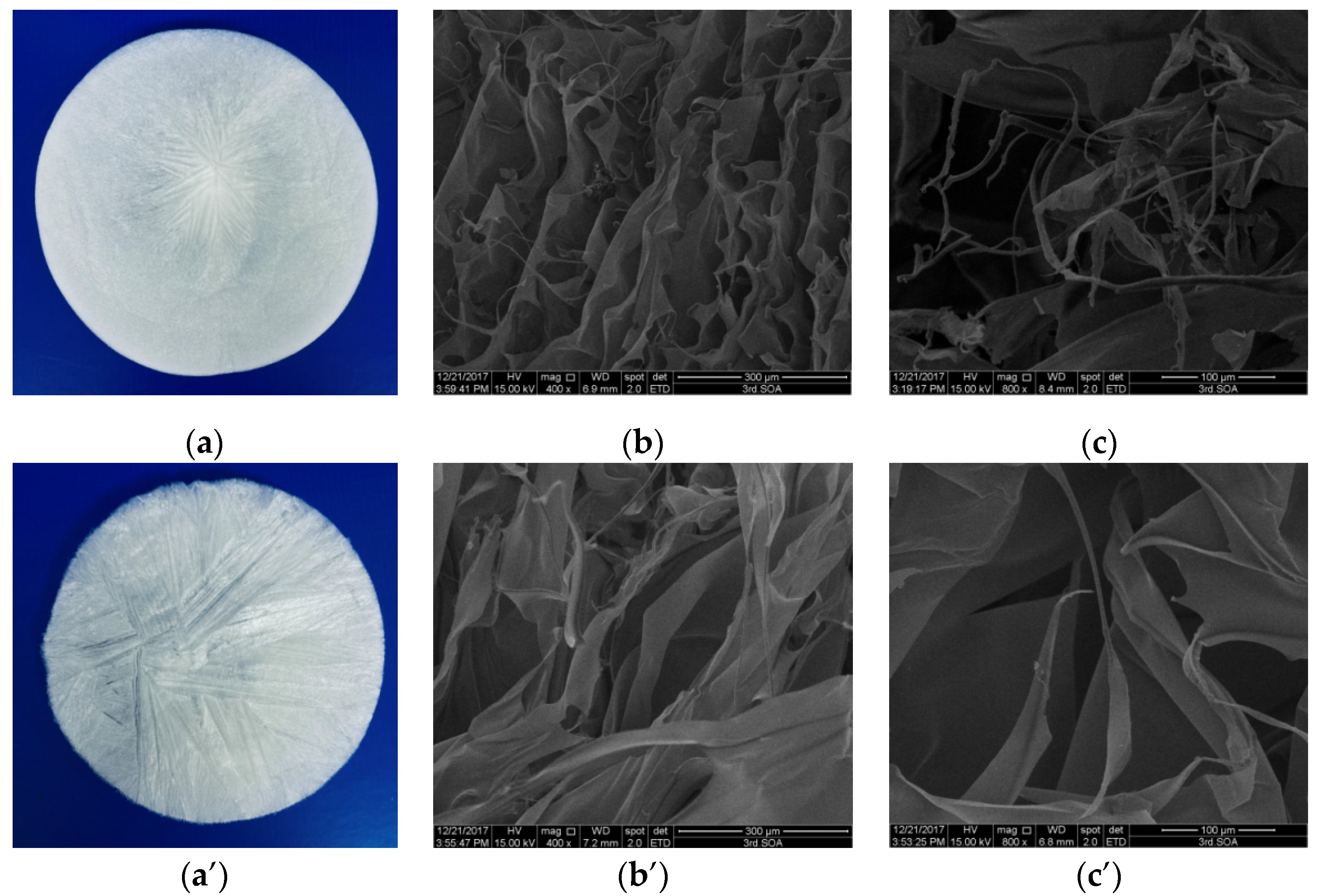 Marinedrugs 19 00597 g003