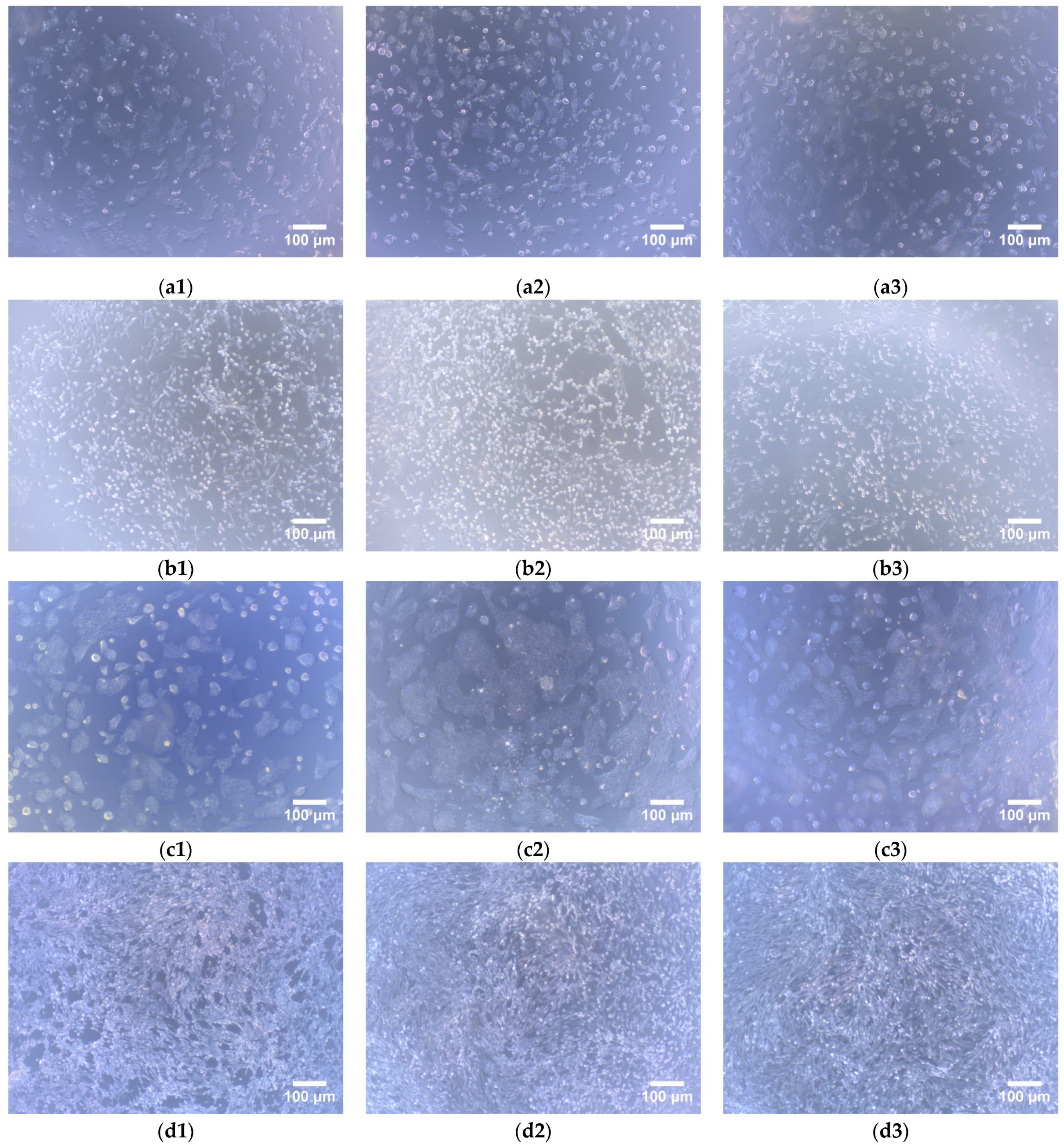 Marinedrugs 19 00597 g008