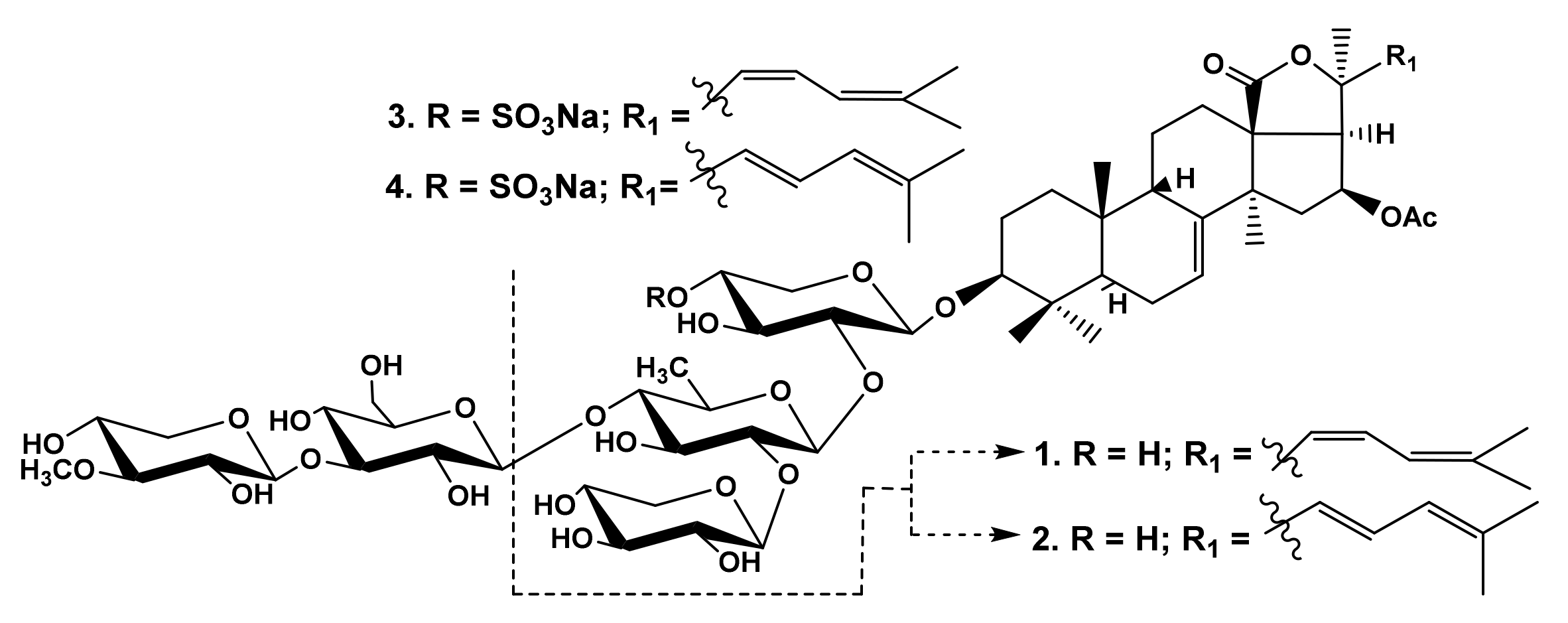 Marinedrugs 19 00604 g001