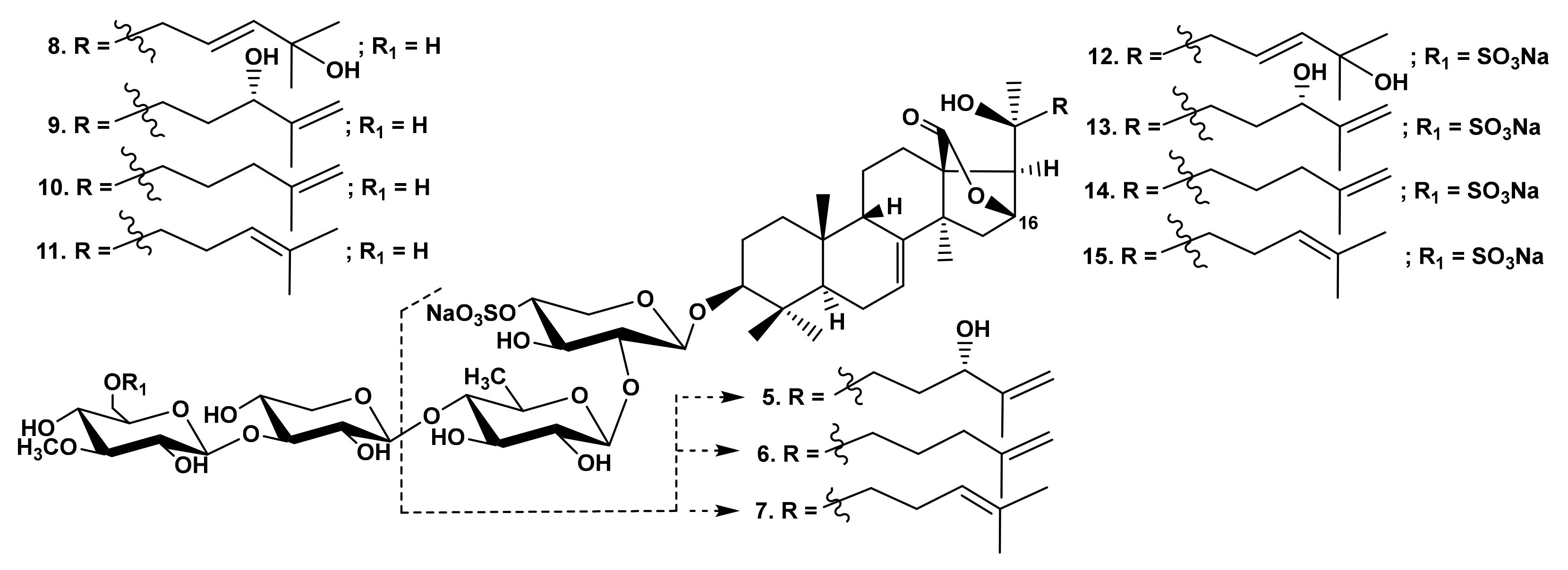 Marinedrugs 19 00604 g002
