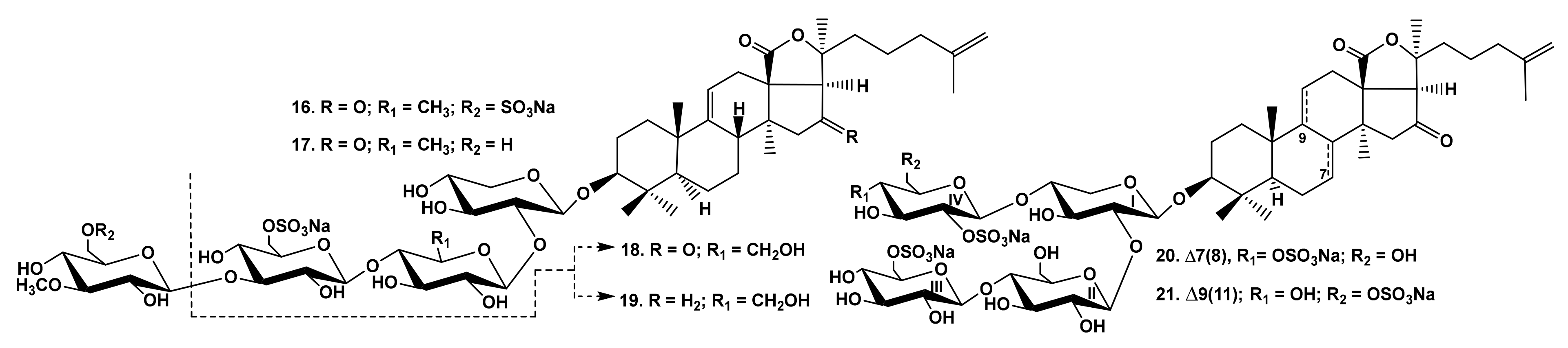Marinedrugs 19 00604 g003