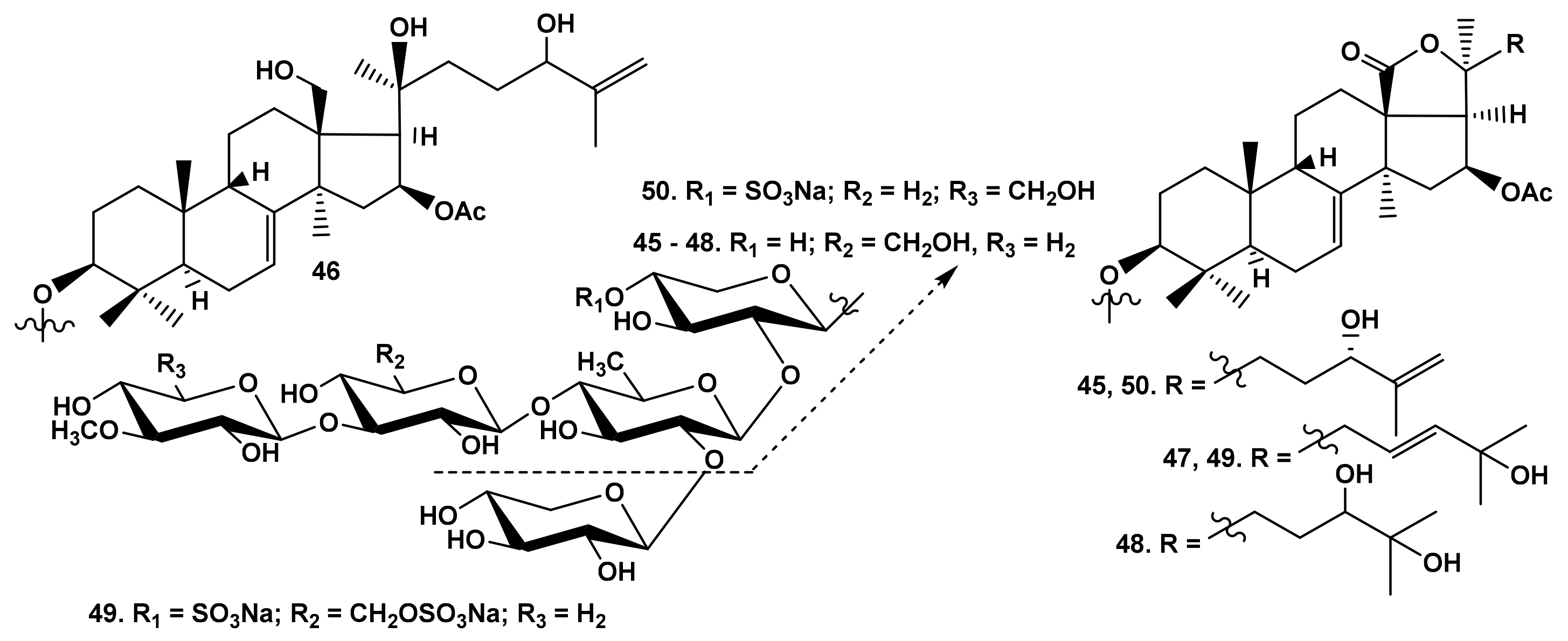 Marinedrugs 19 00604 g011