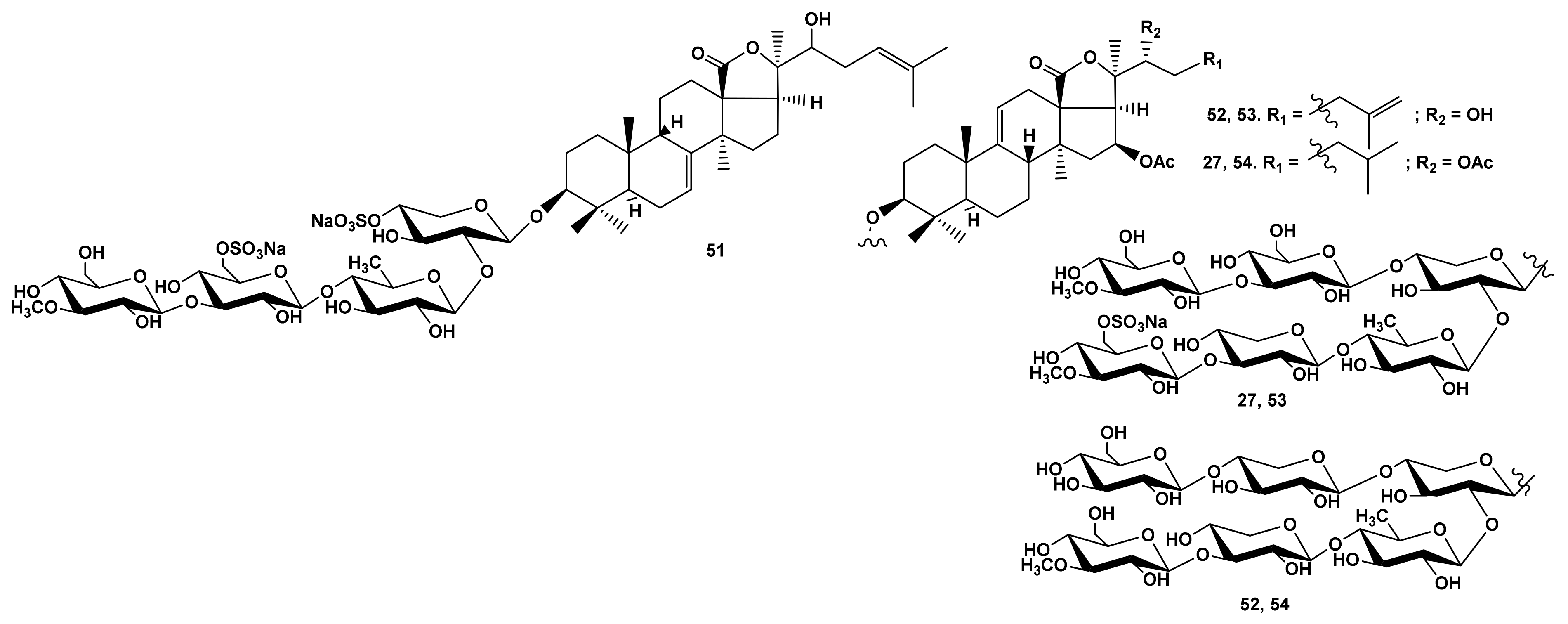 Marinedrugs 19 00604 g012