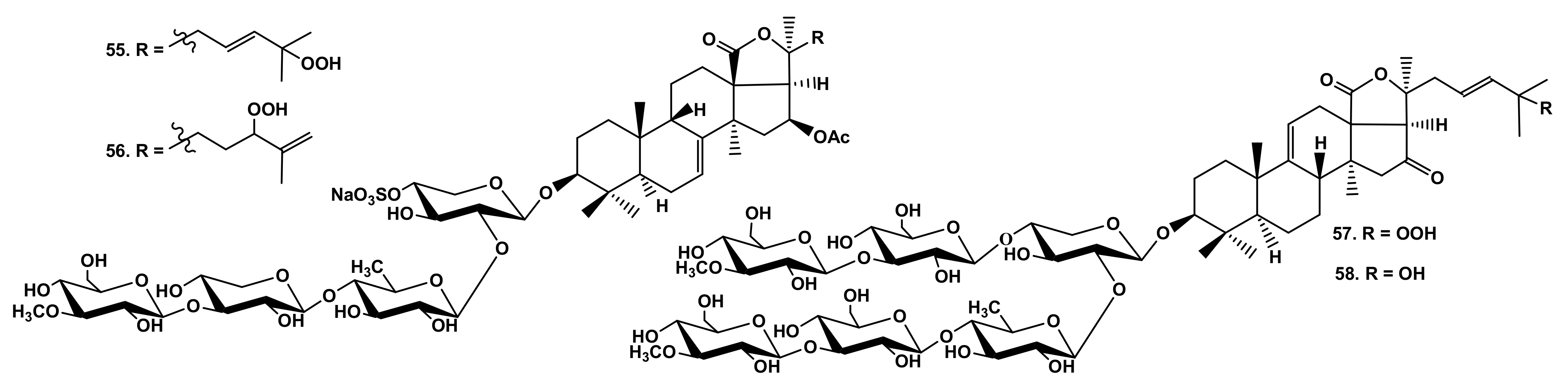 Marinedrugs 19 00604 g013