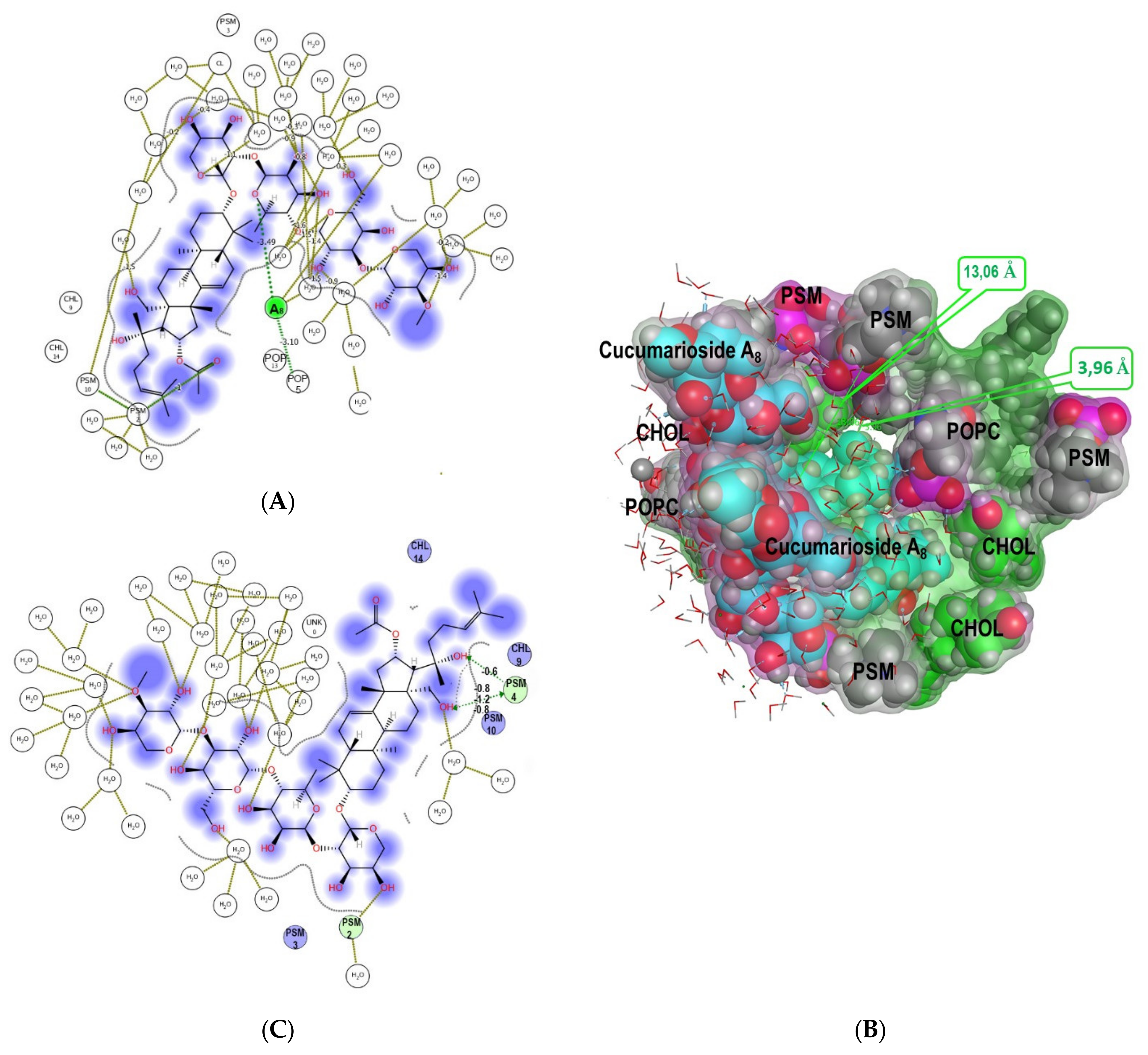 Marinedrugs 19 00604 g016