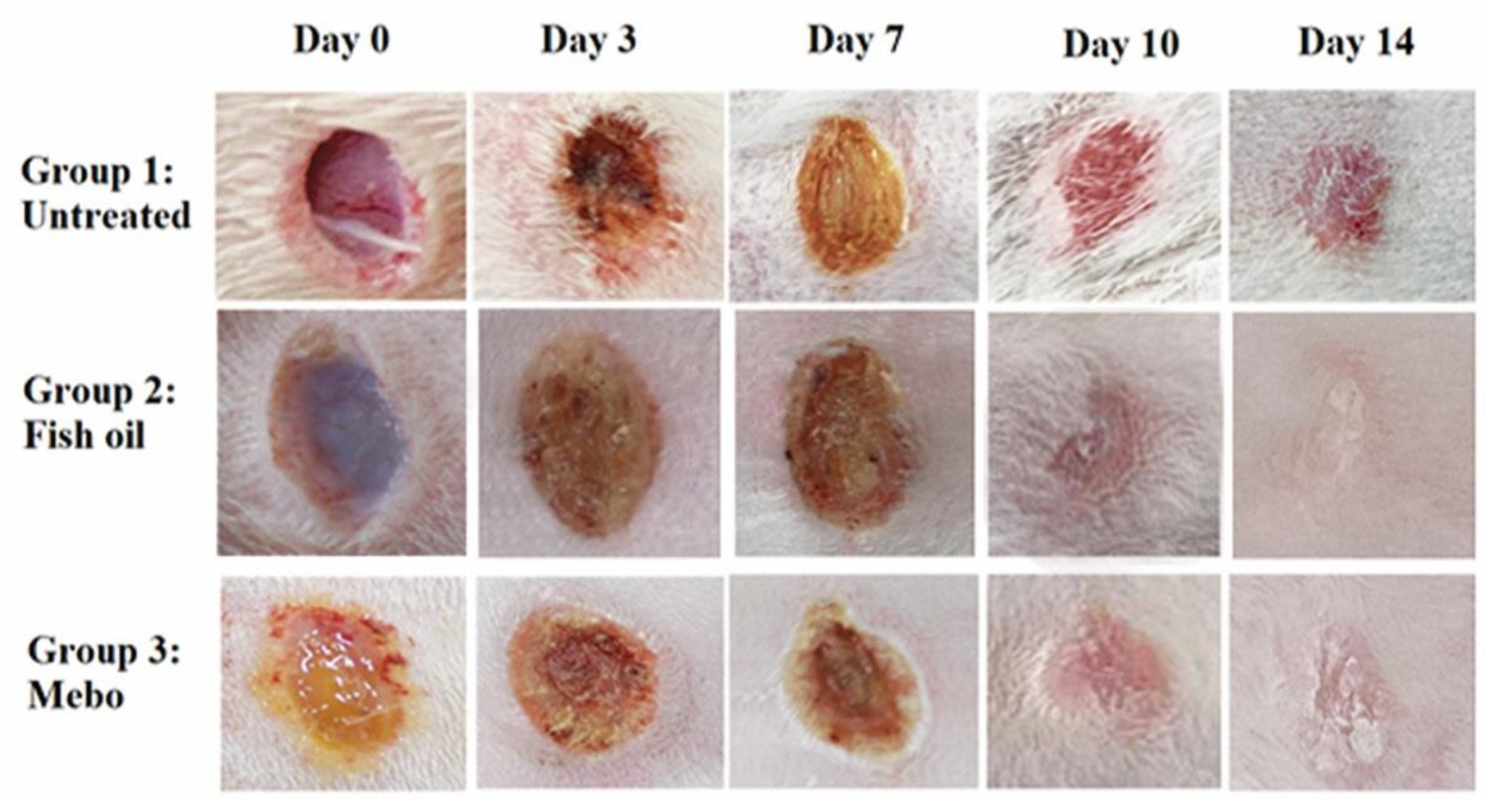 Marinedrugs 19 00605 g005