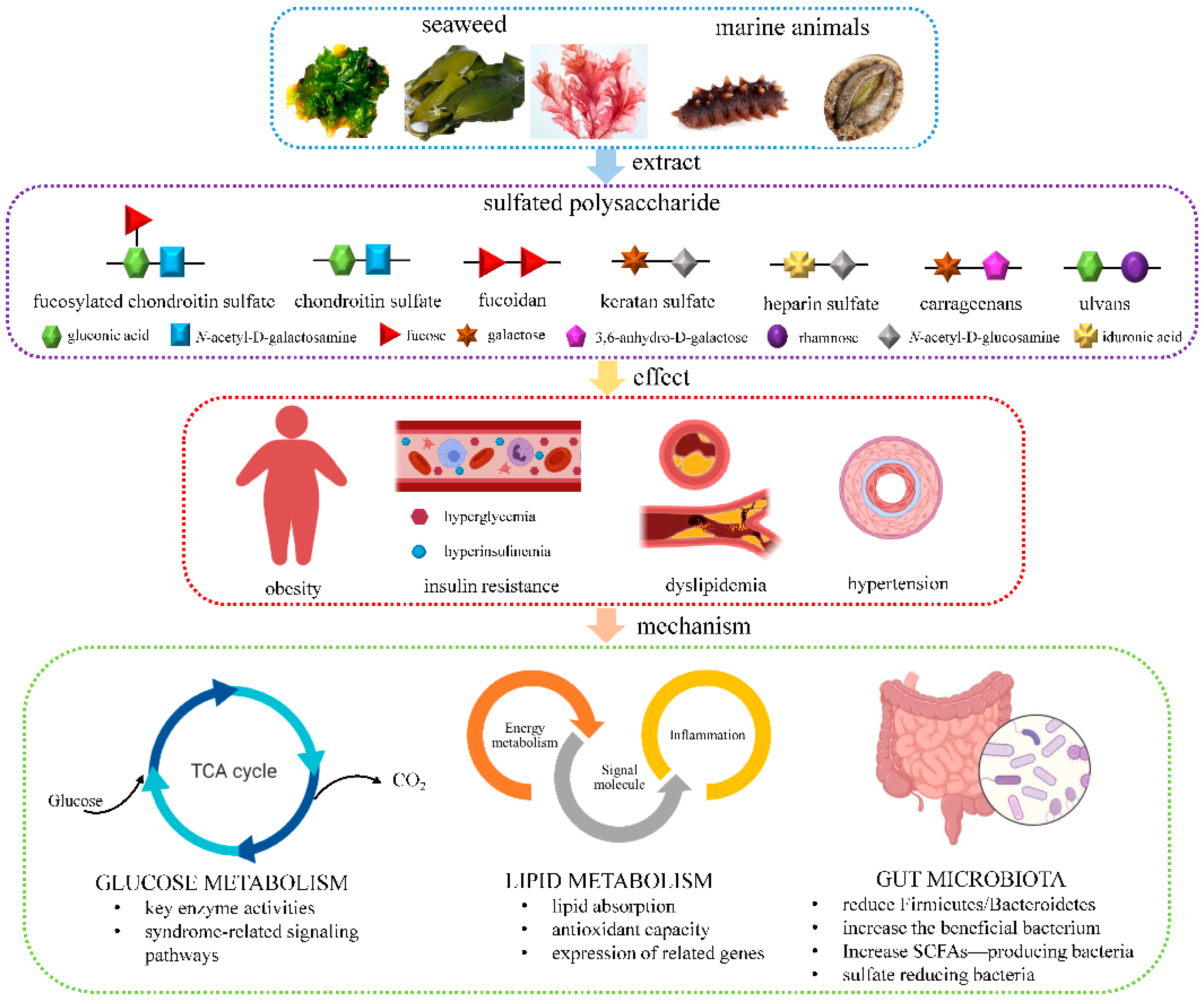 Marinedrugs 19 00608 g002