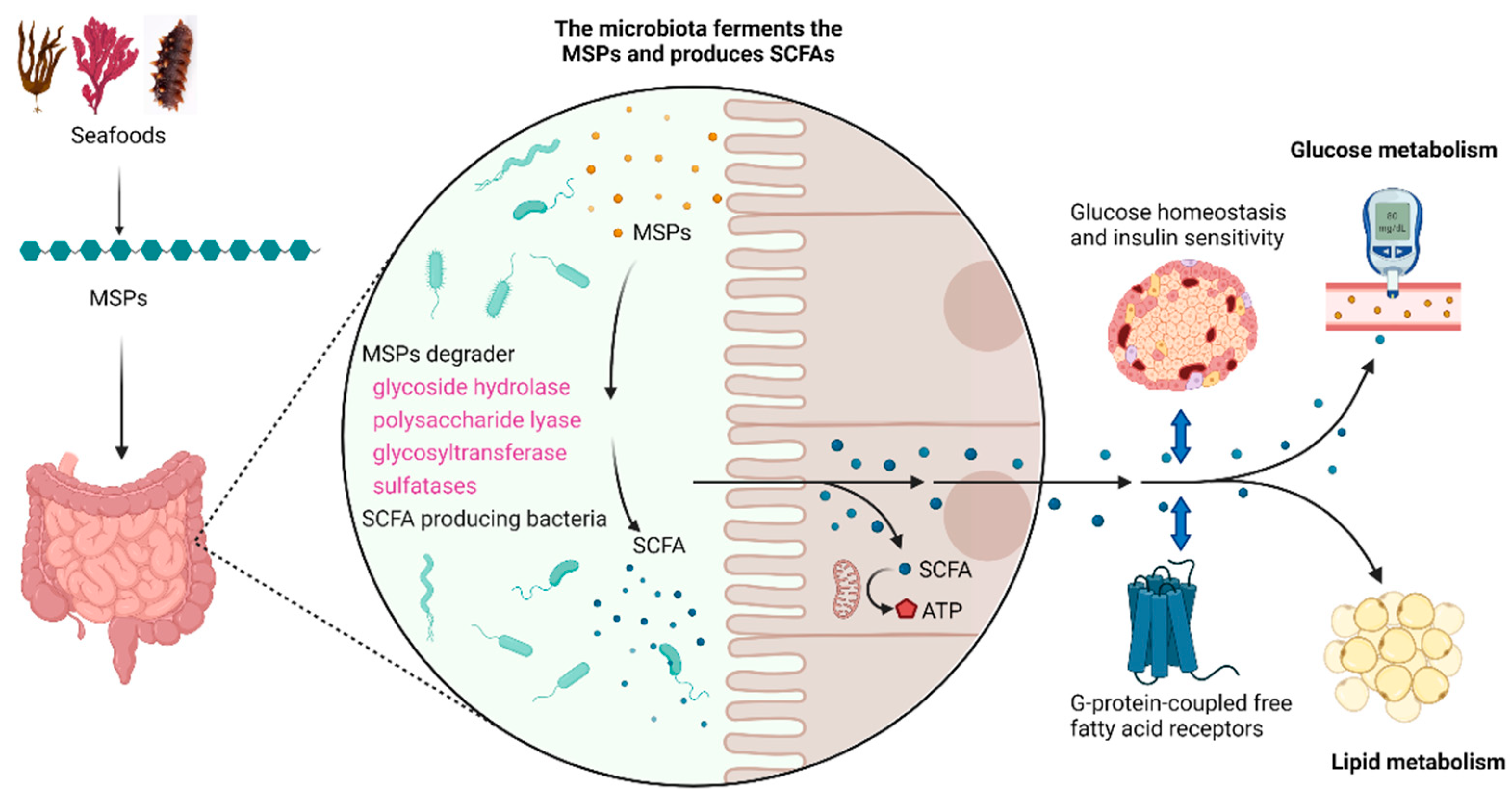 Marinedrugs 19 00608 g003