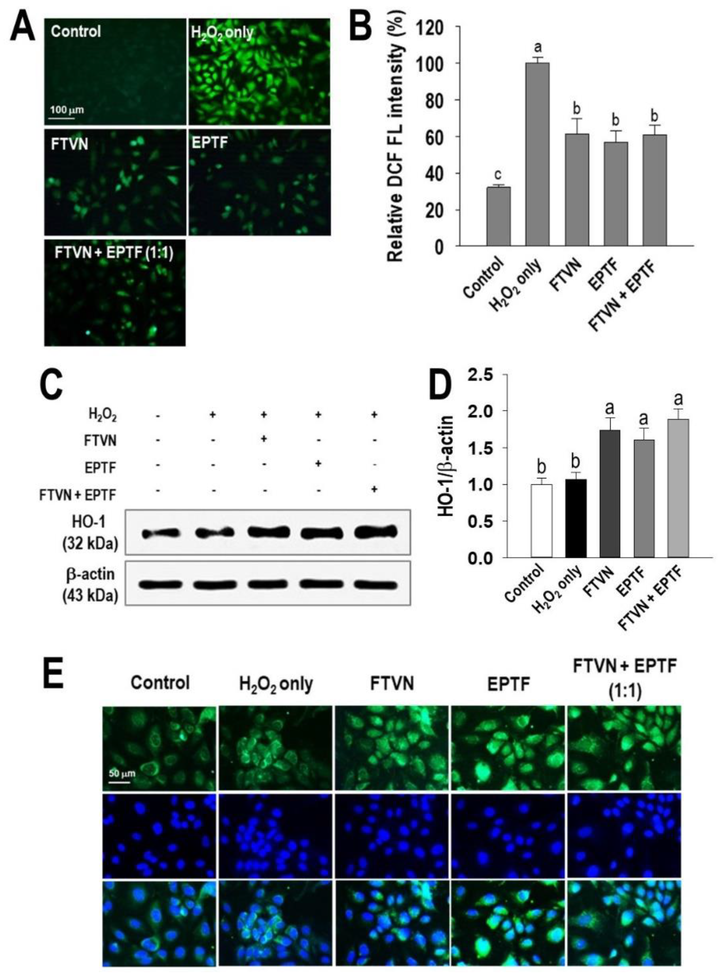 Marinedrugs 19 00609 g004