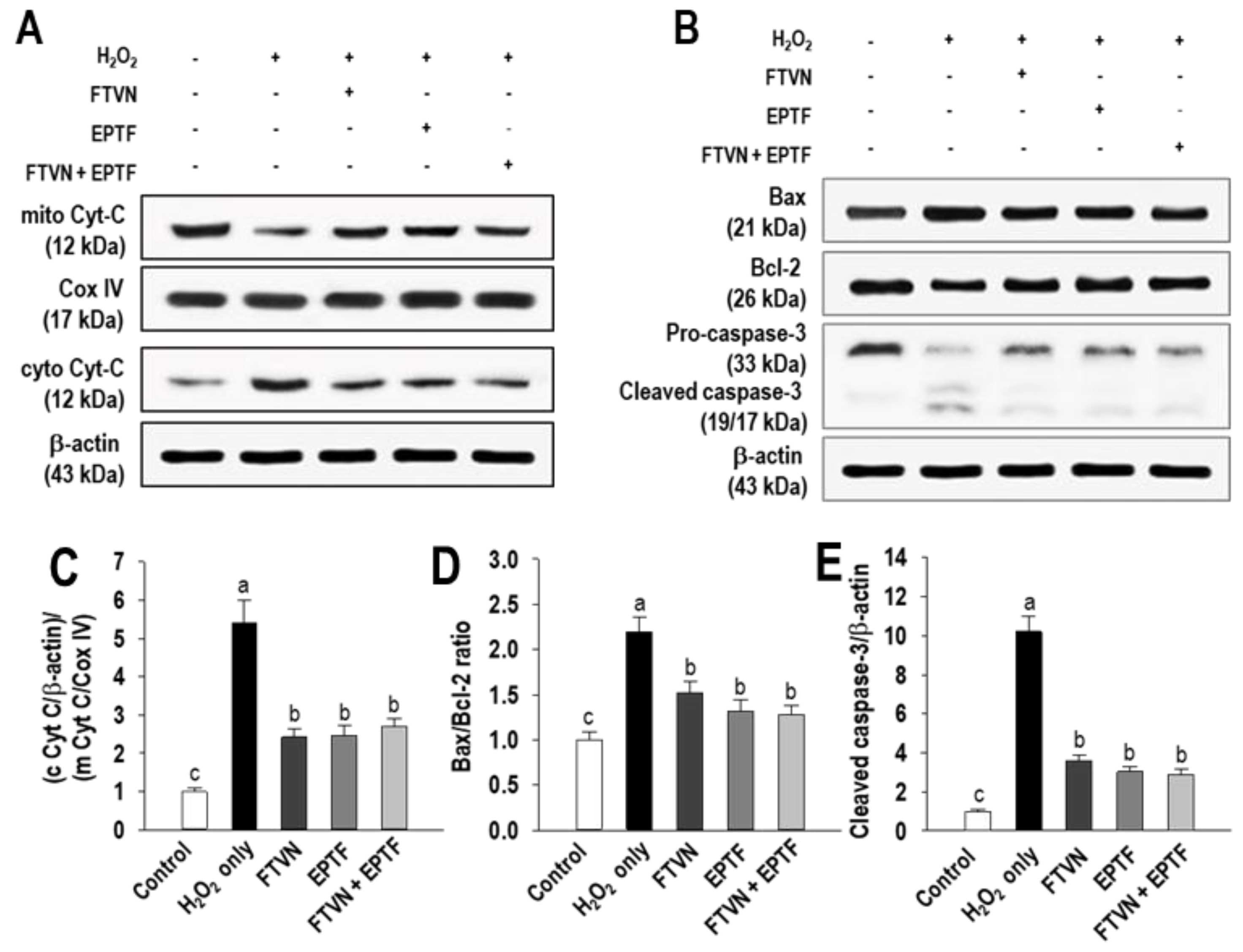 Marinedrugs 19 00609 g006