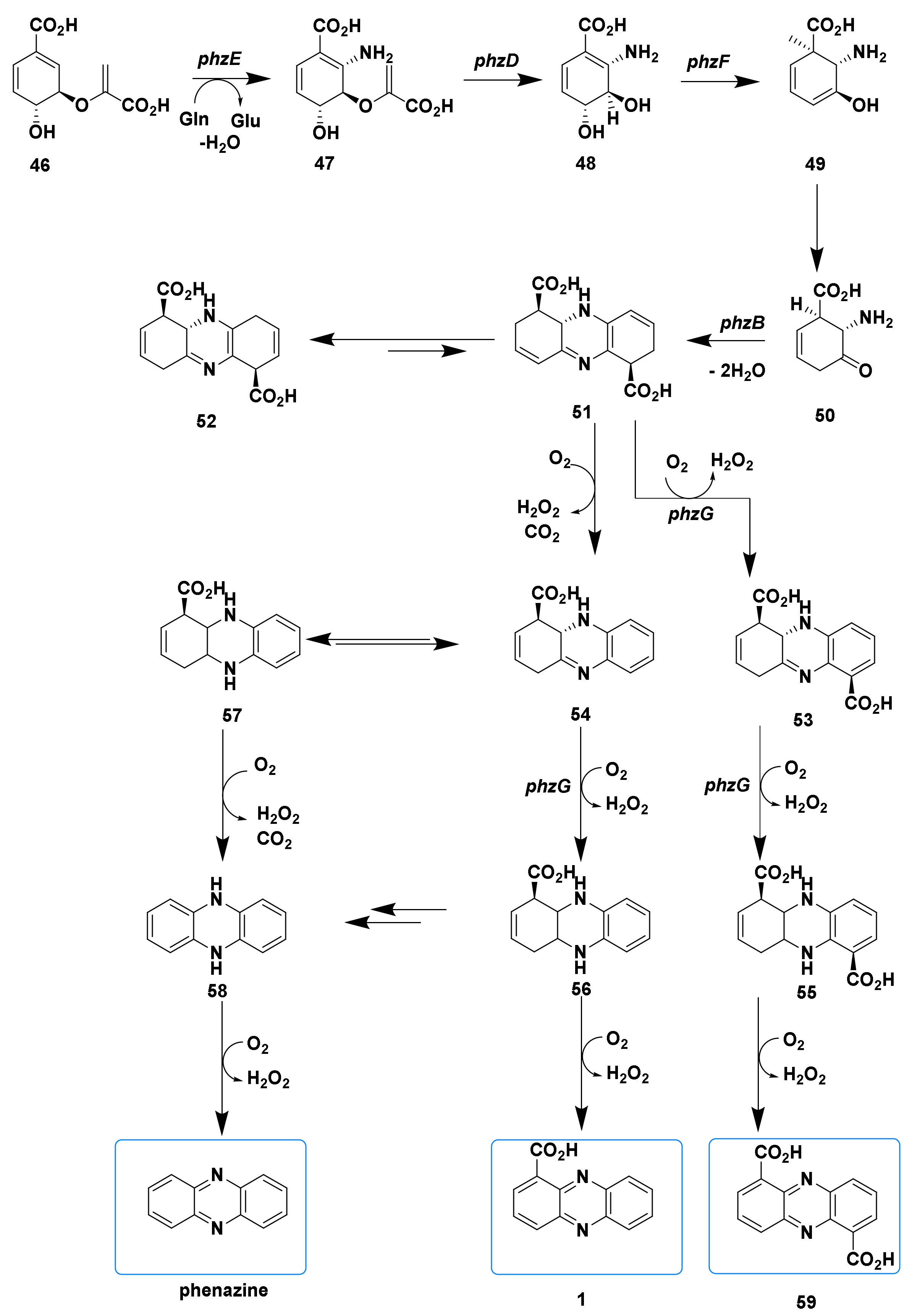 Marinedrugs 19 00610 g008