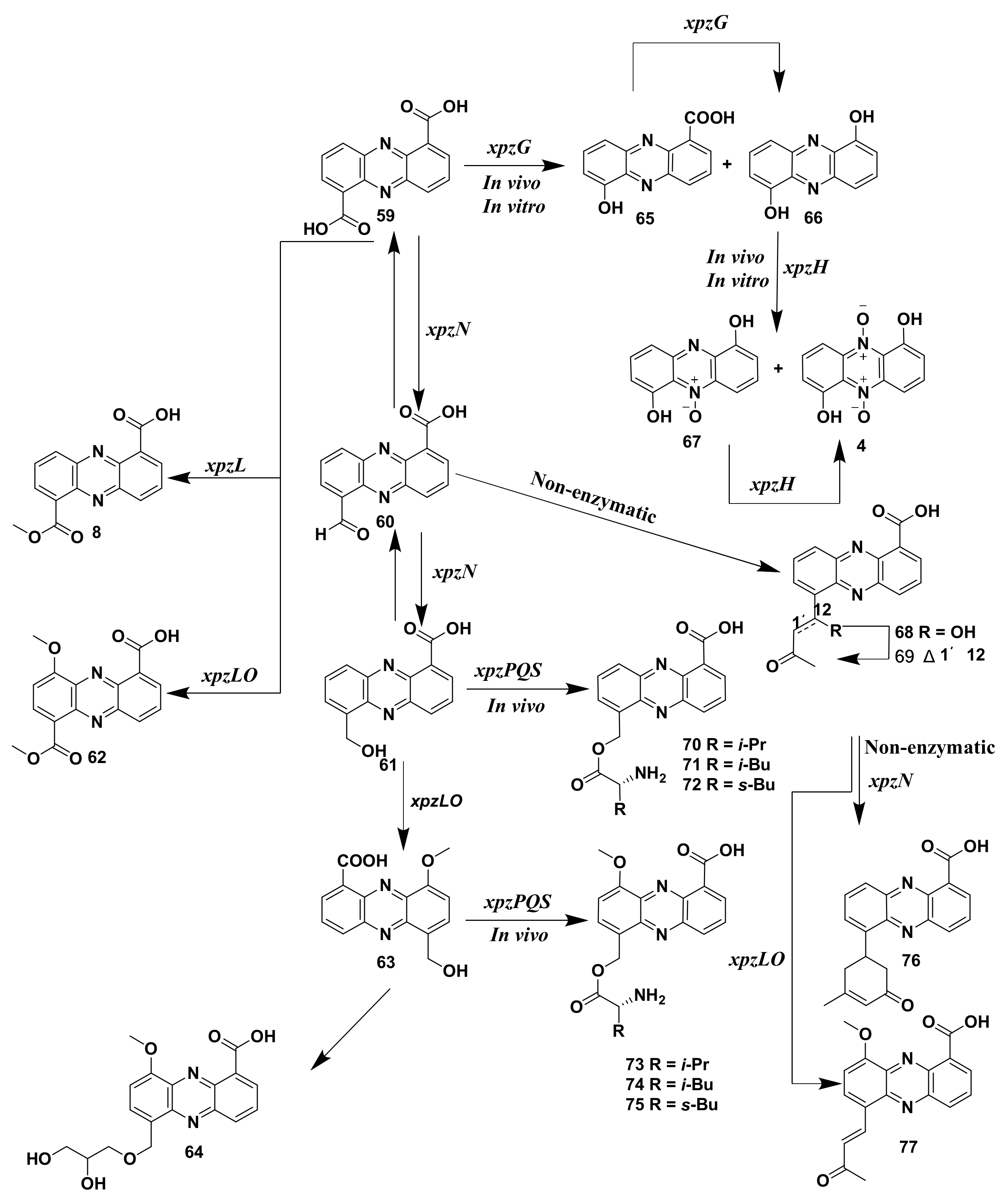 Marinedrugs 19 00610 g009