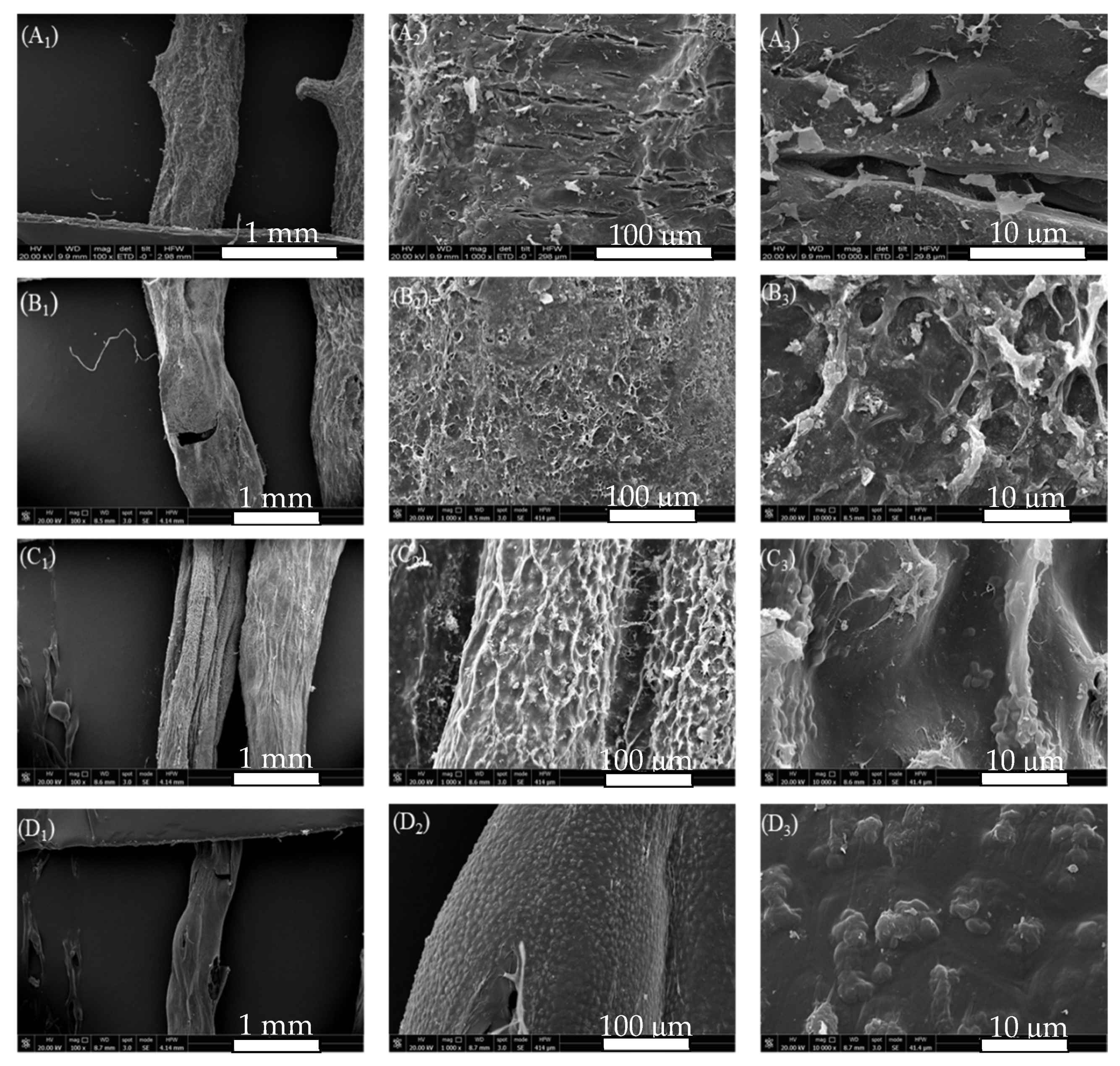 Marinedrugs 19 00617 g002