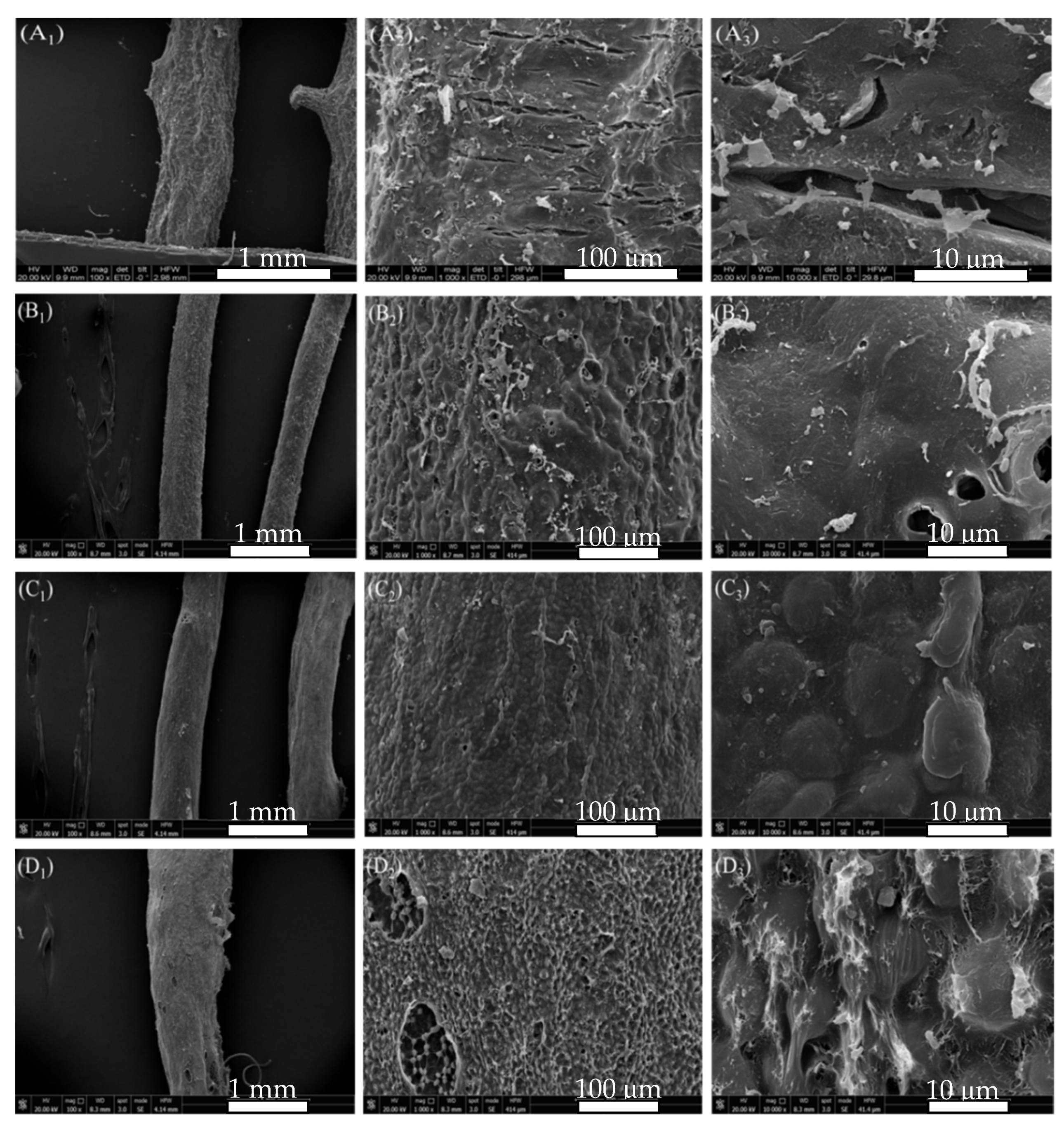 Marinedrugs 19 00617 g003