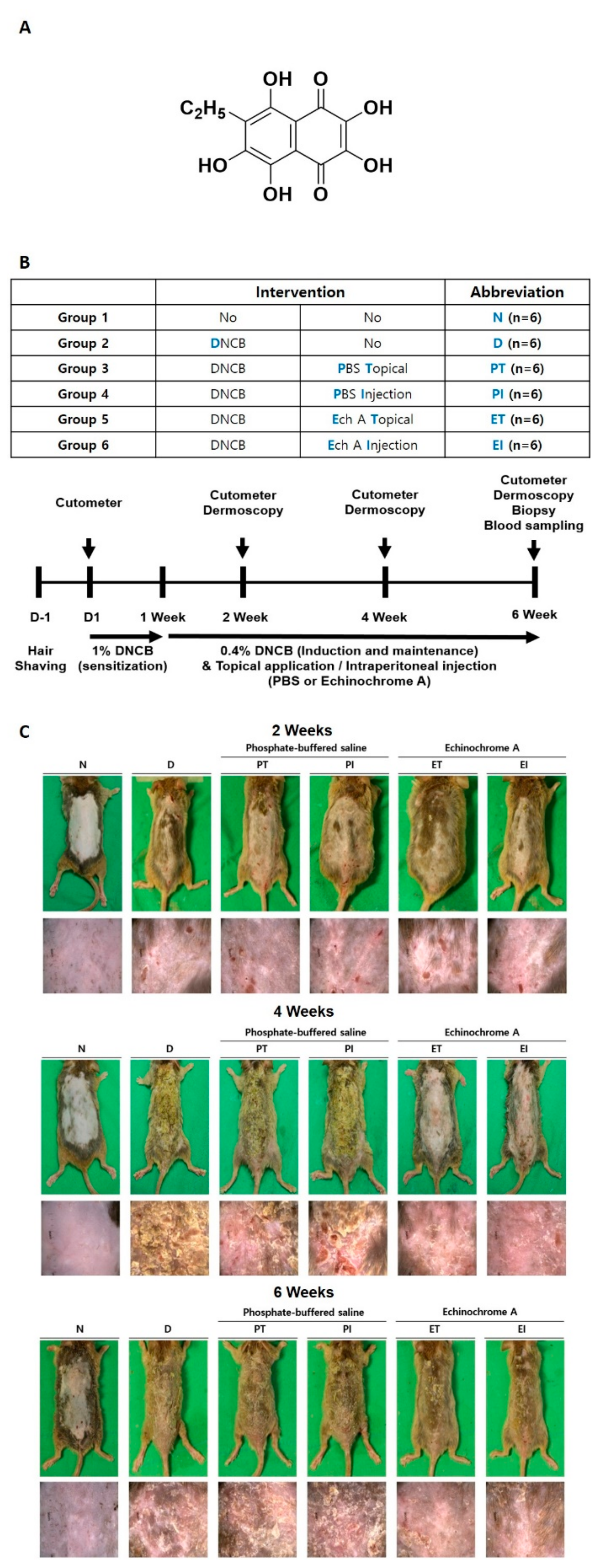 Marinedrugs 19 00622 g001