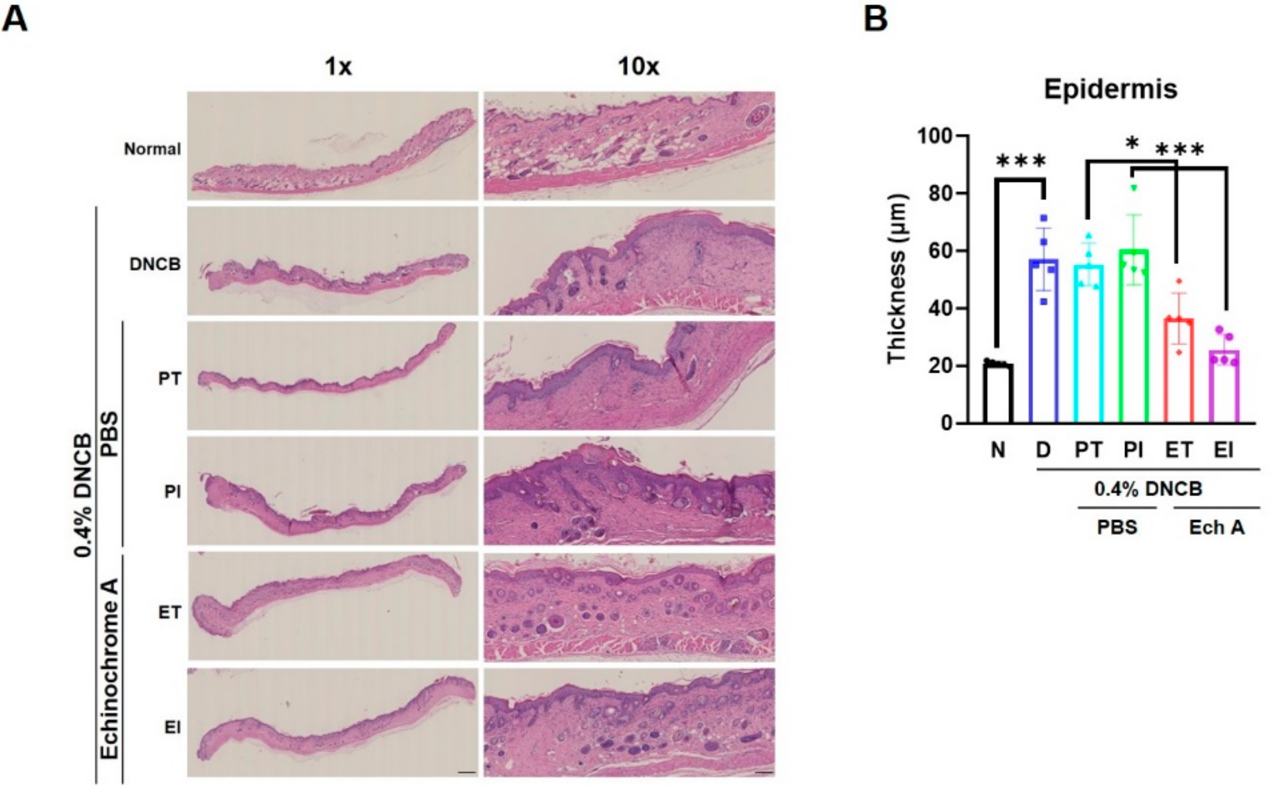 Marinedrugs 19 00622 g002
