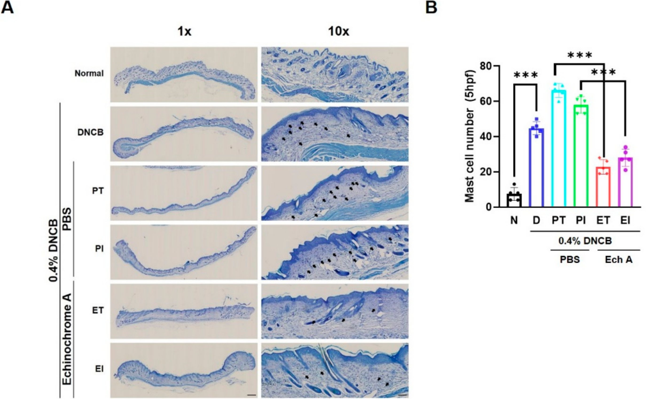 Marinedrugs 19 00622 g004