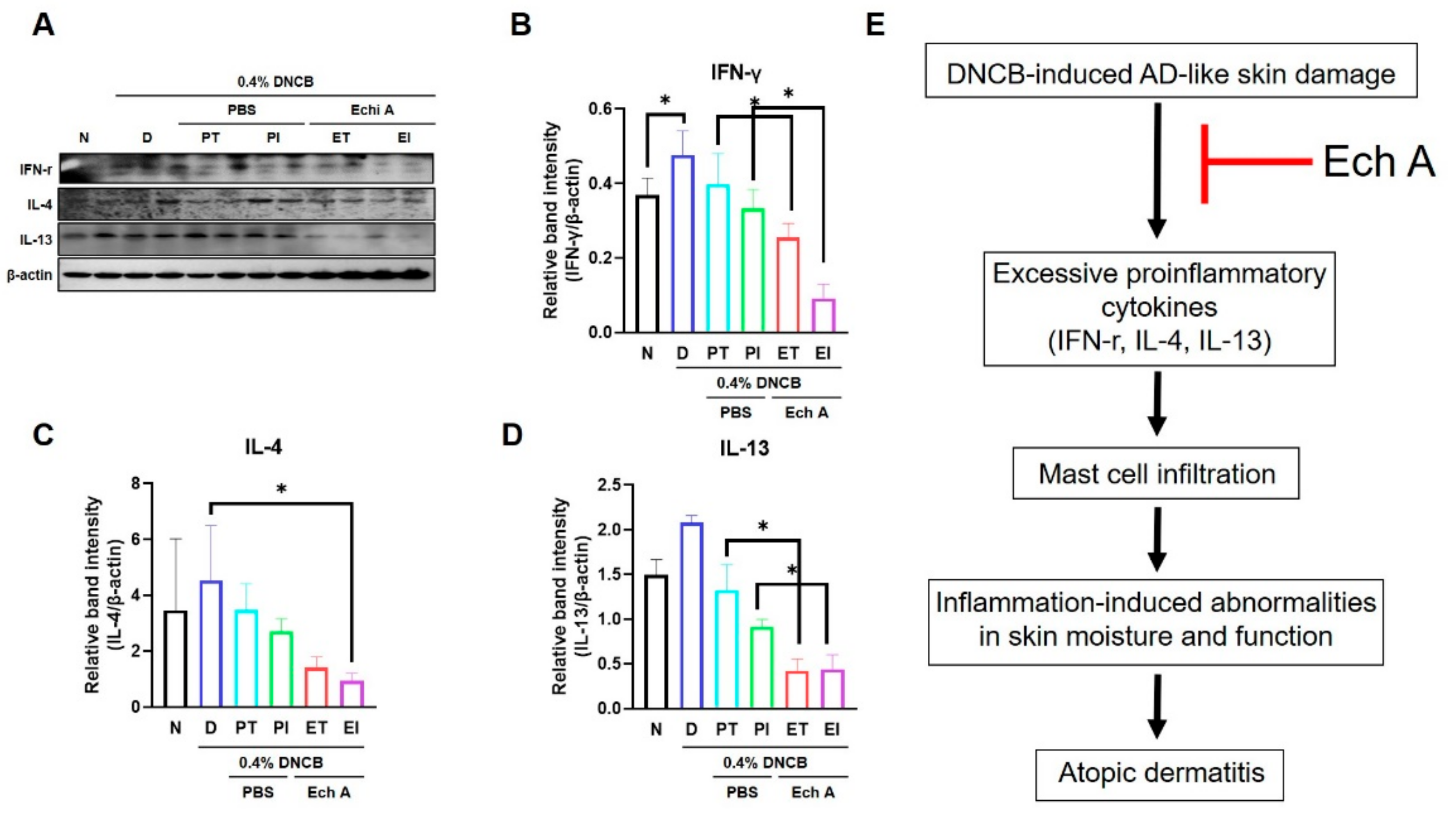 Marinedrugs 19 00622 g005