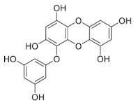 Marinedrugs 19 00625 i006