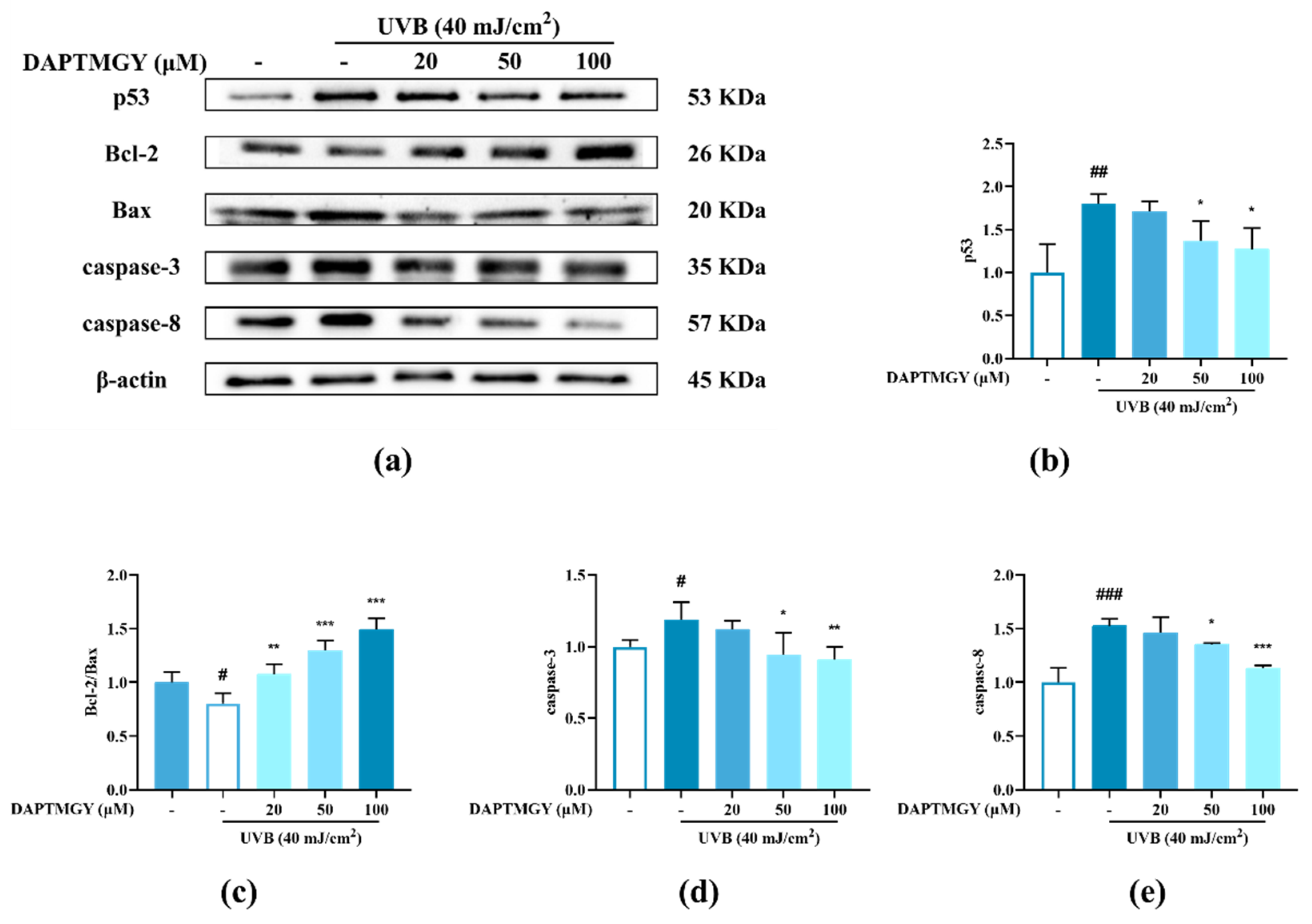 Marinedrugs 19 00626 g003a