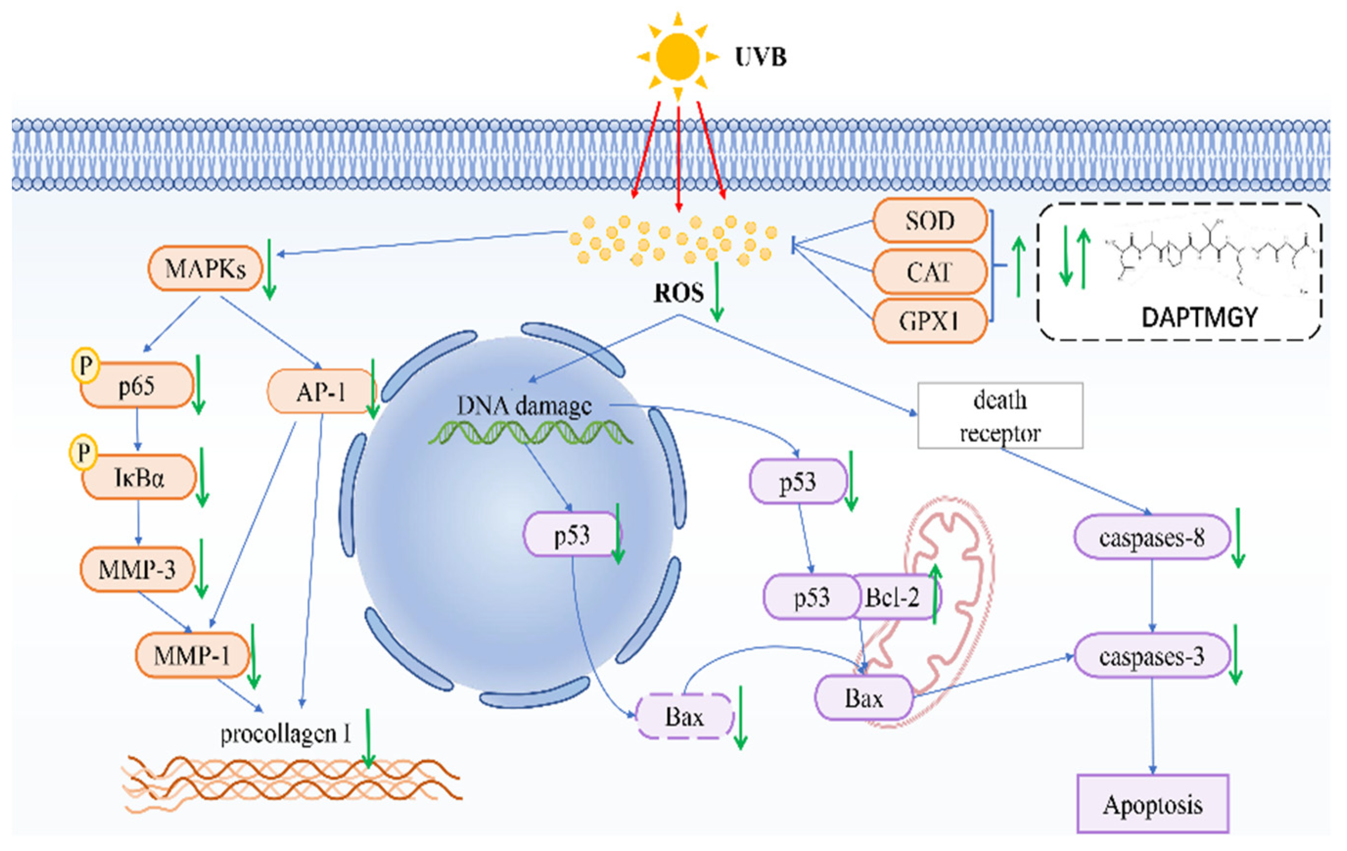 Marinedrugs 19 00626 g009