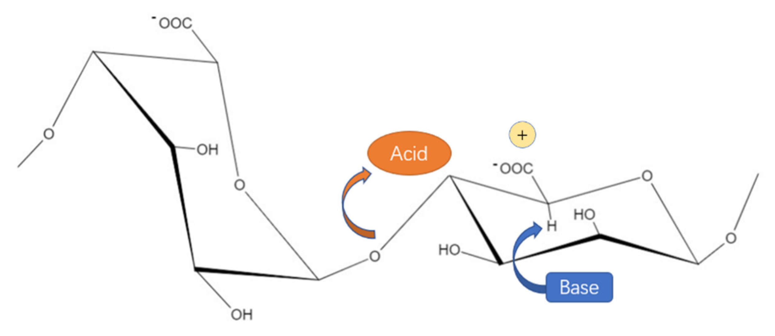 Marinedrugs 19 00628 g003