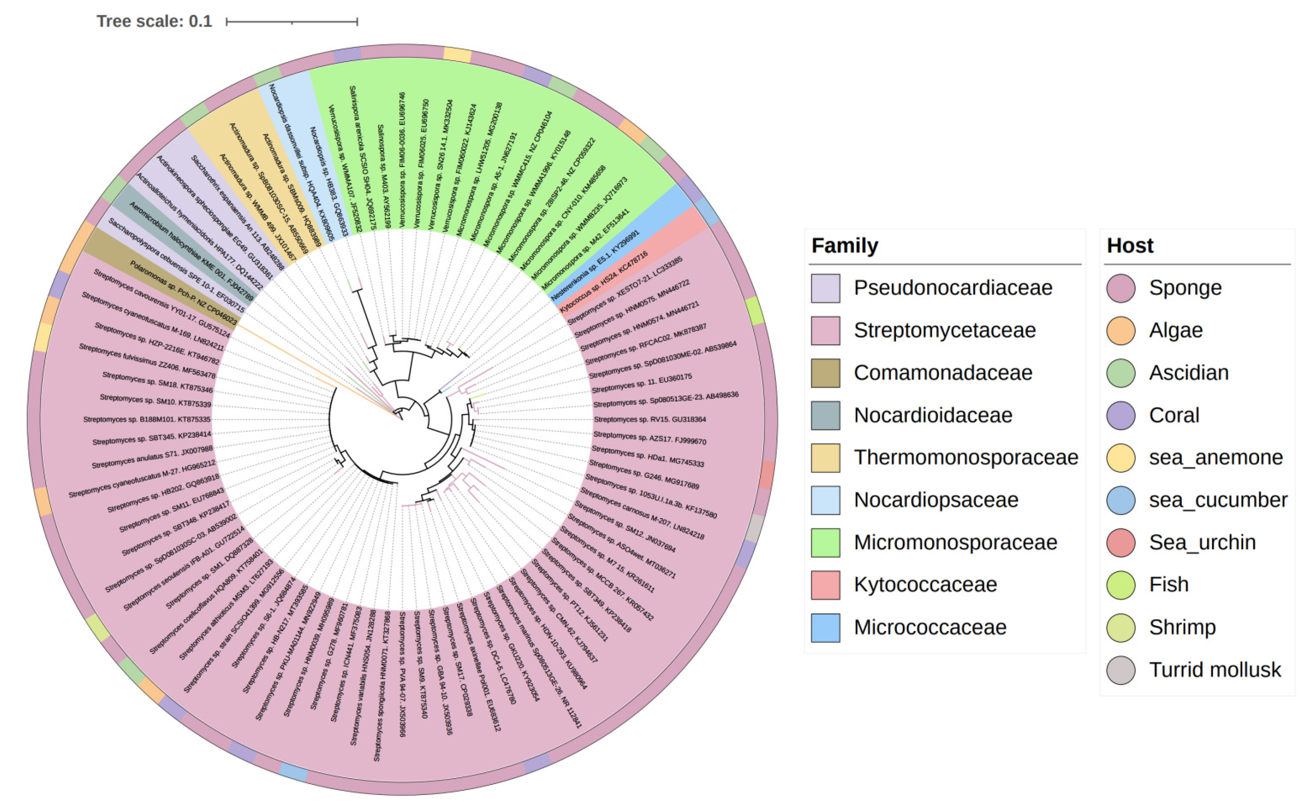 Marinedrugs 19 00629 g001