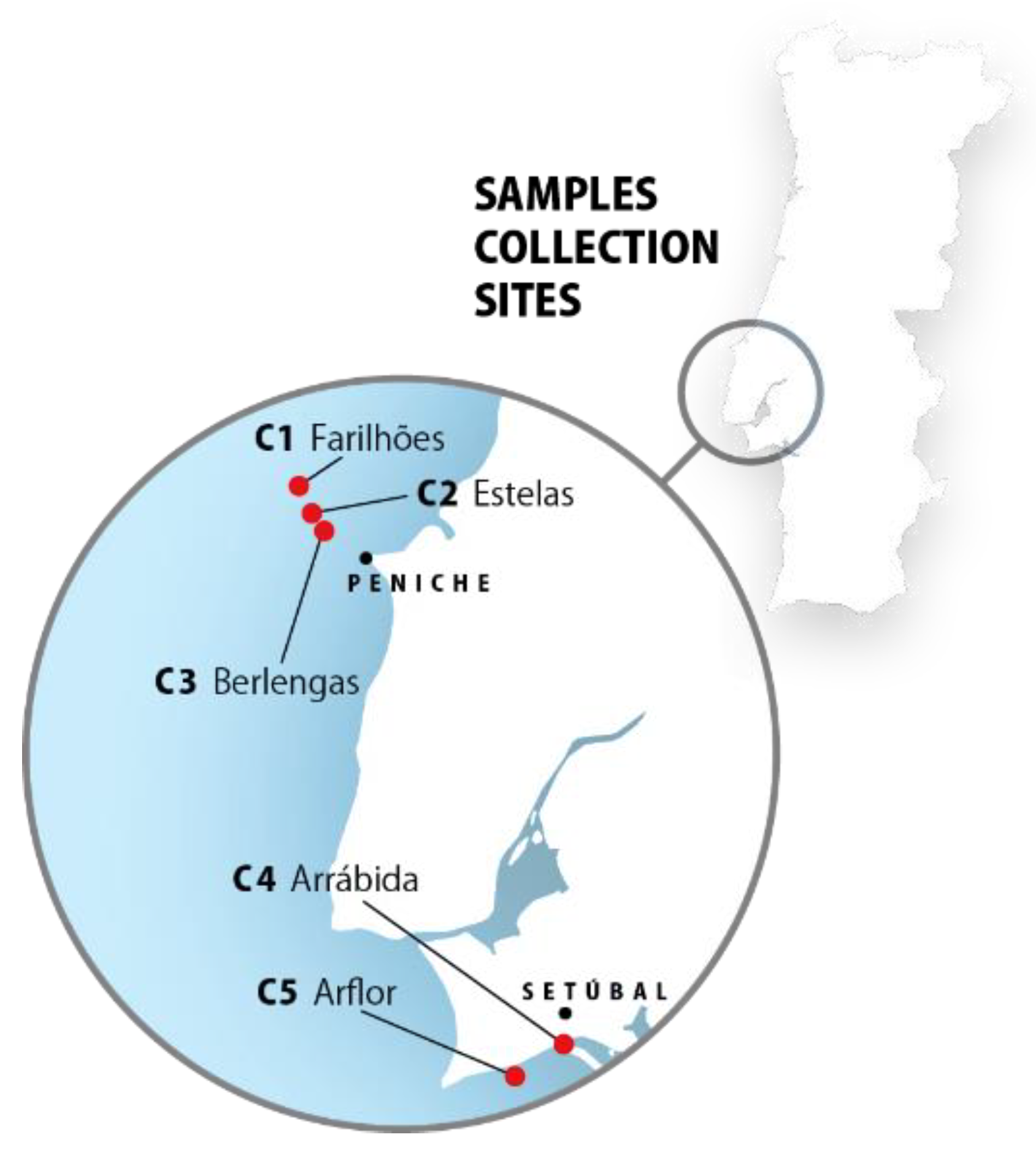 Marinedrugs 19 00632 g006