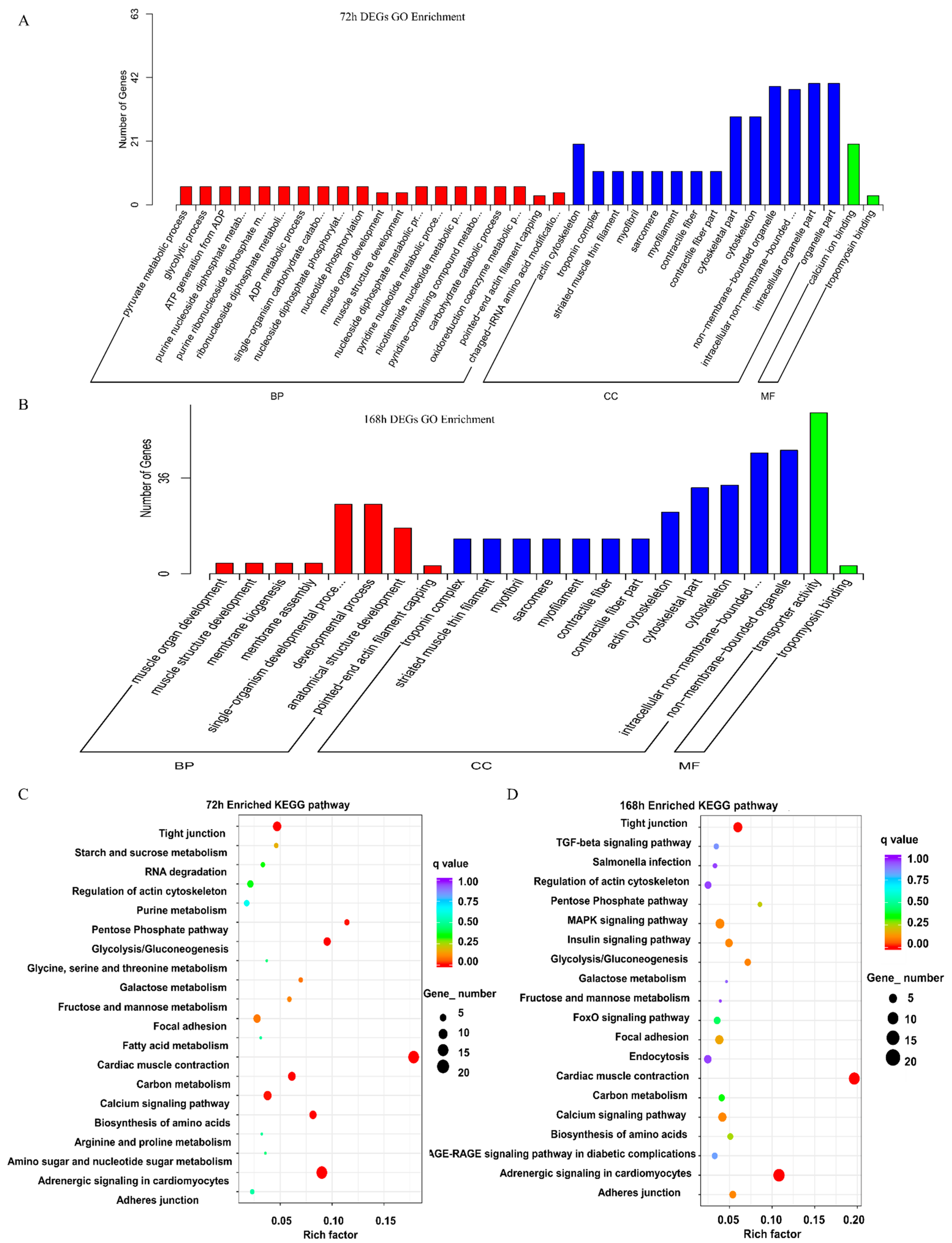 Marinedrugs 19 00639 g004