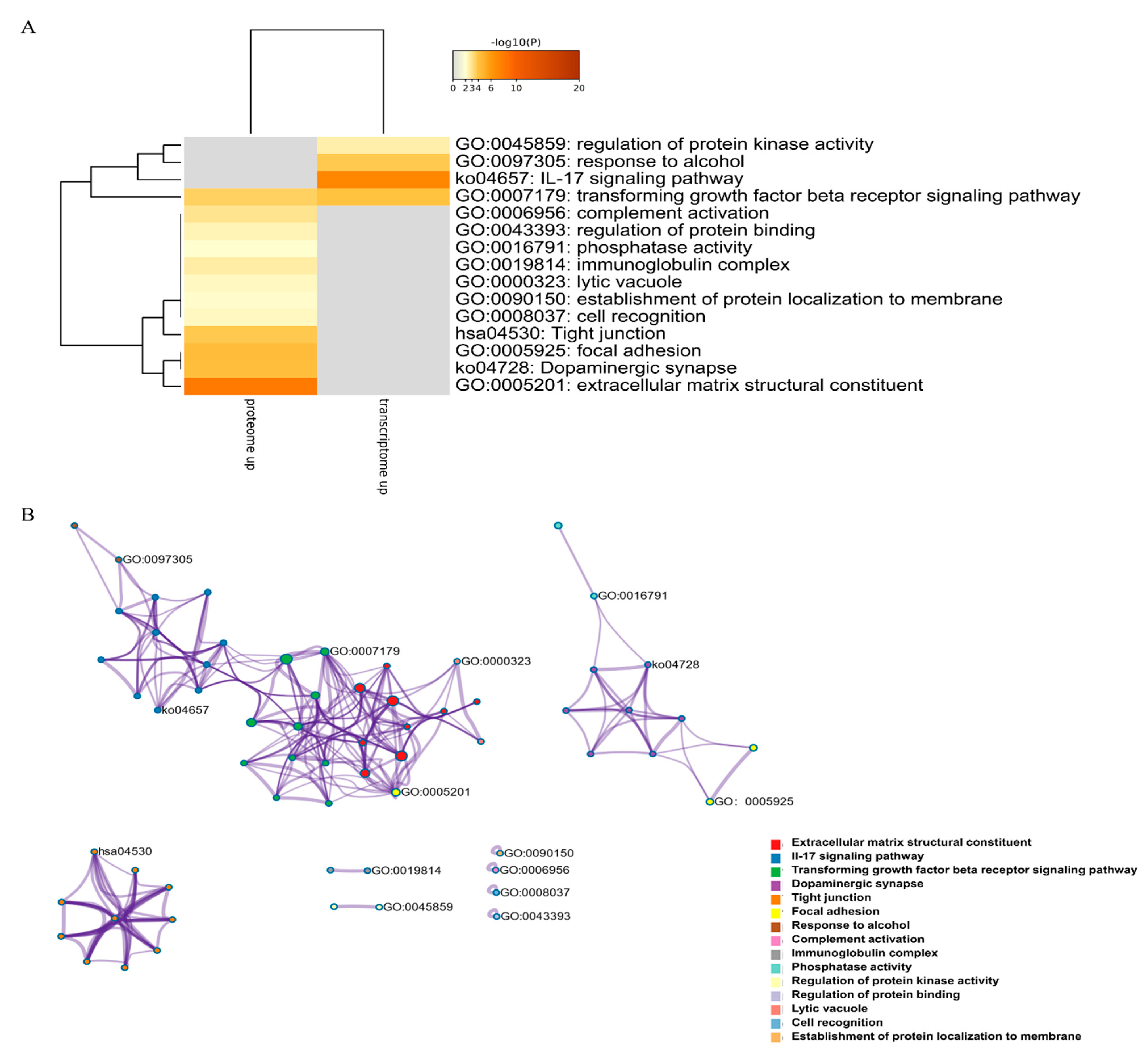 Marinedrugs 19 00639 g006a
