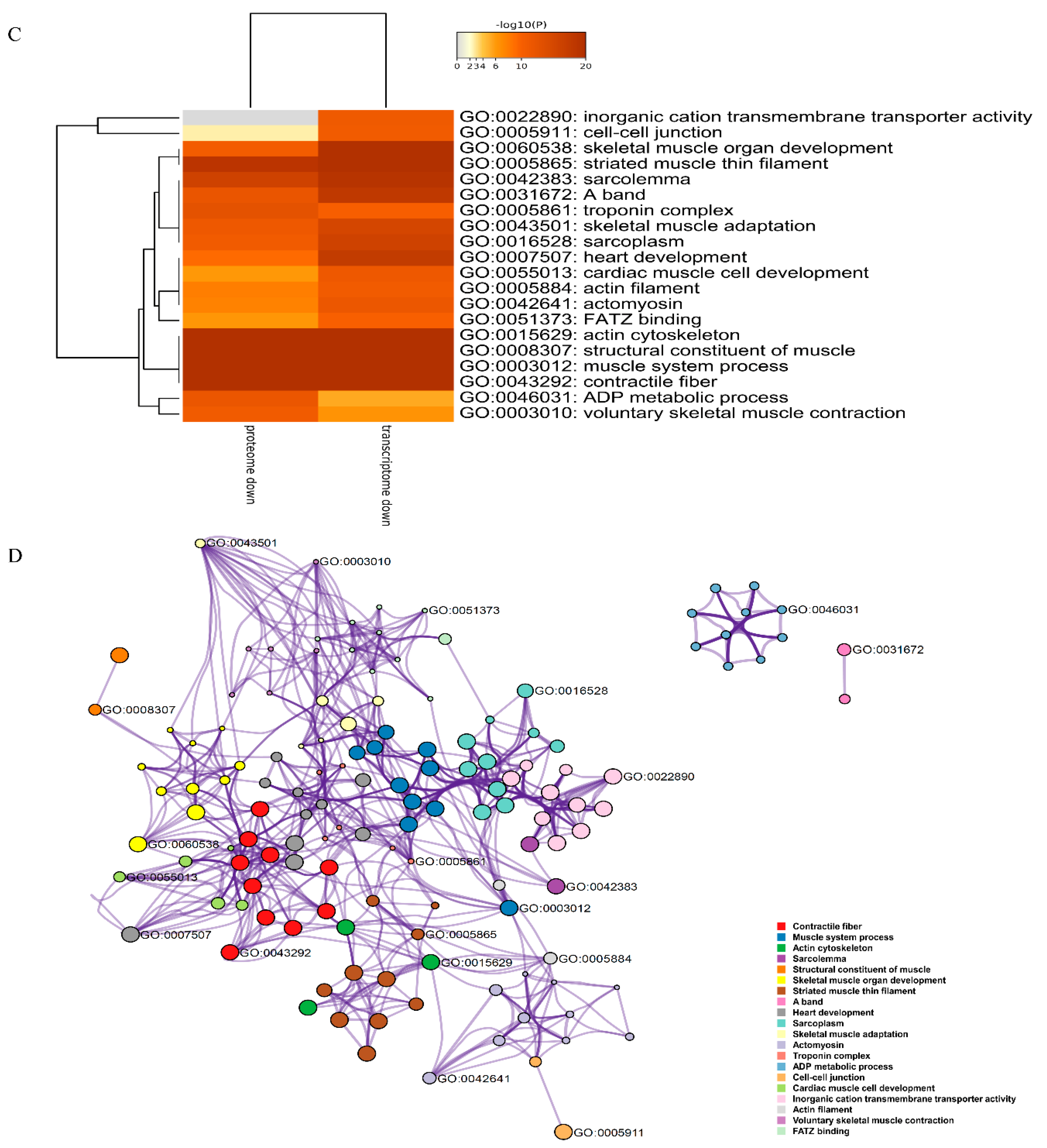 Marinedrugs 19 00639 g006b