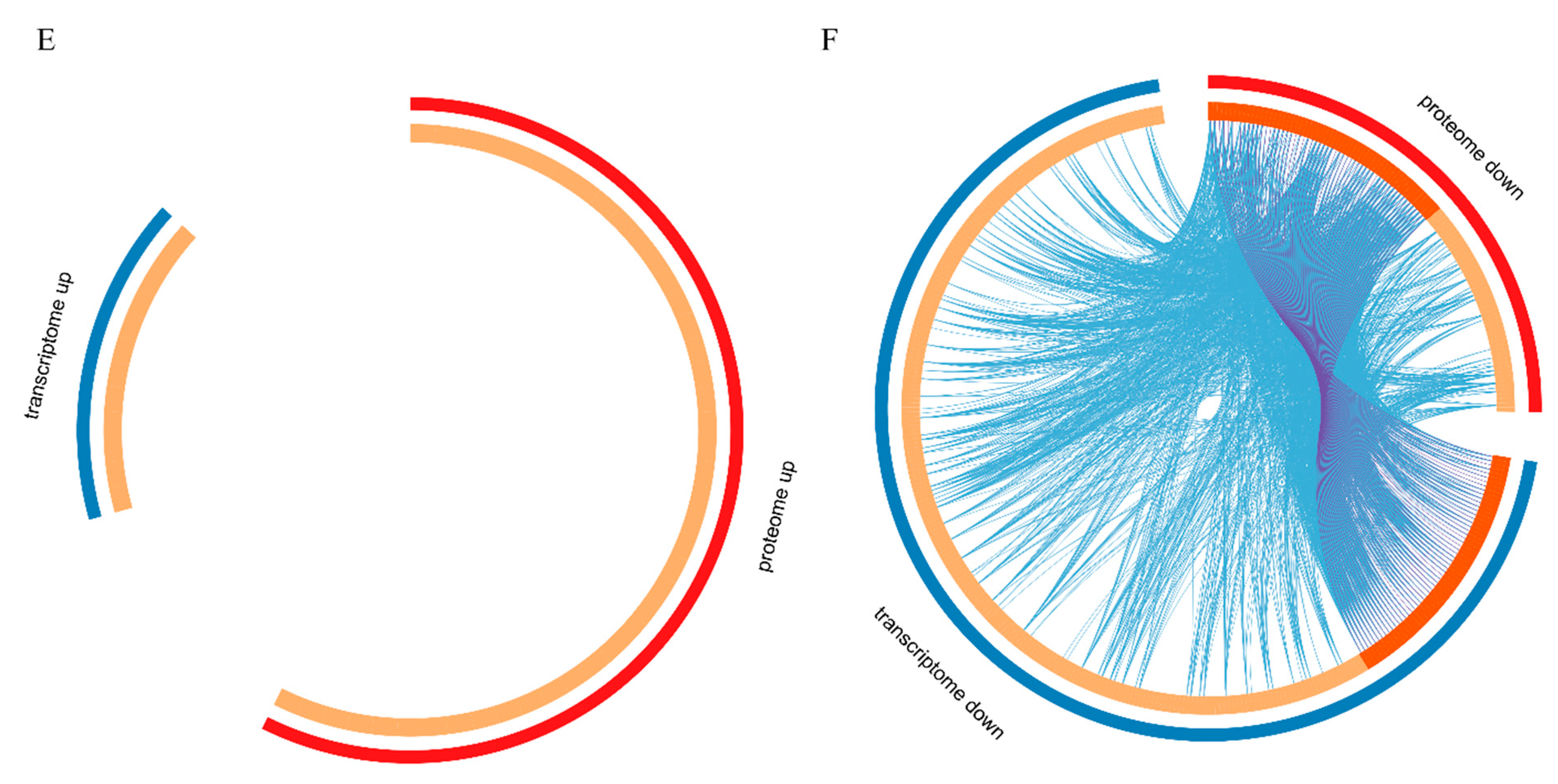 Marinedrugs 19 00639 g006c