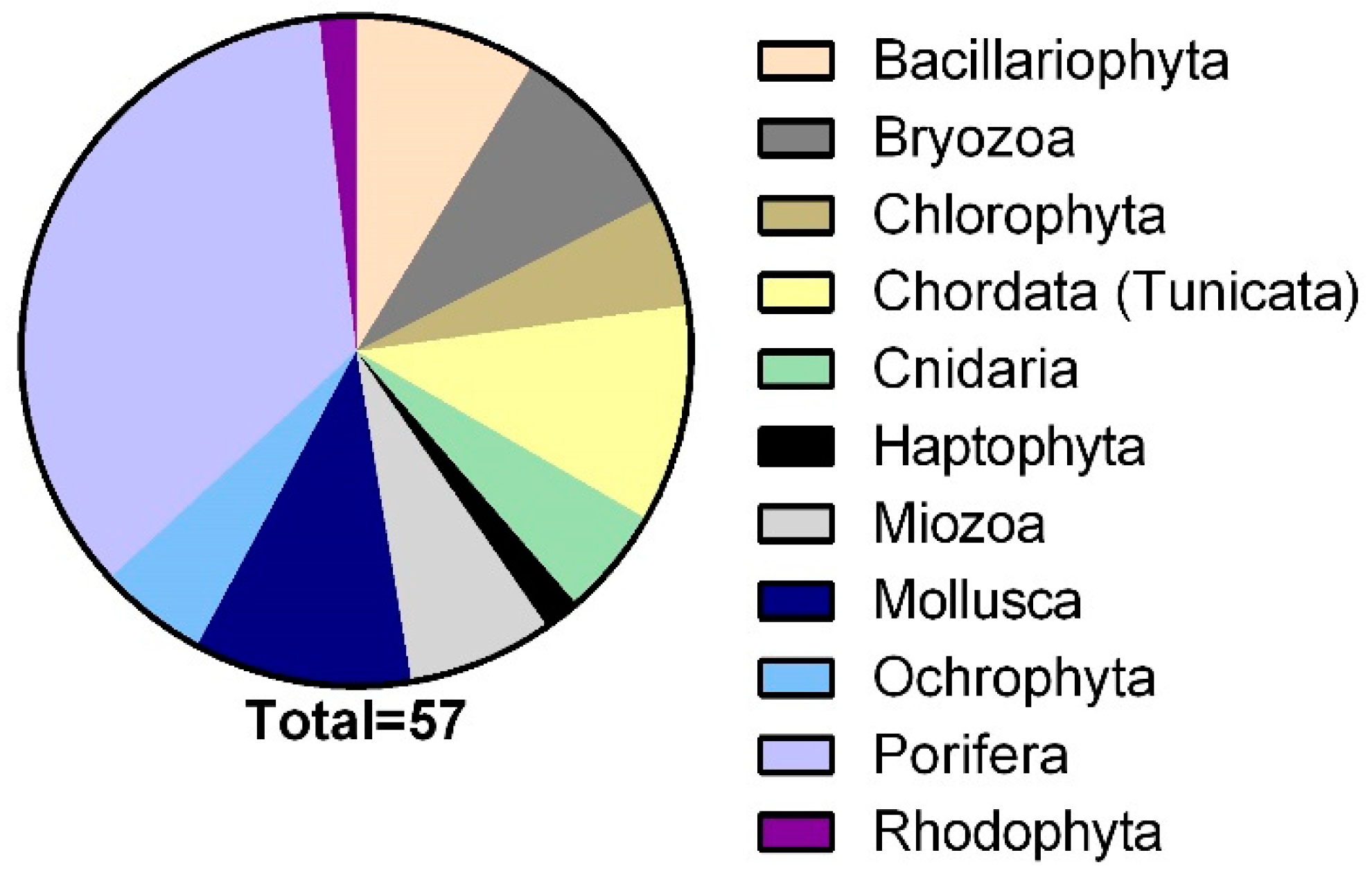 Marinedrugs 19 00640 g001
