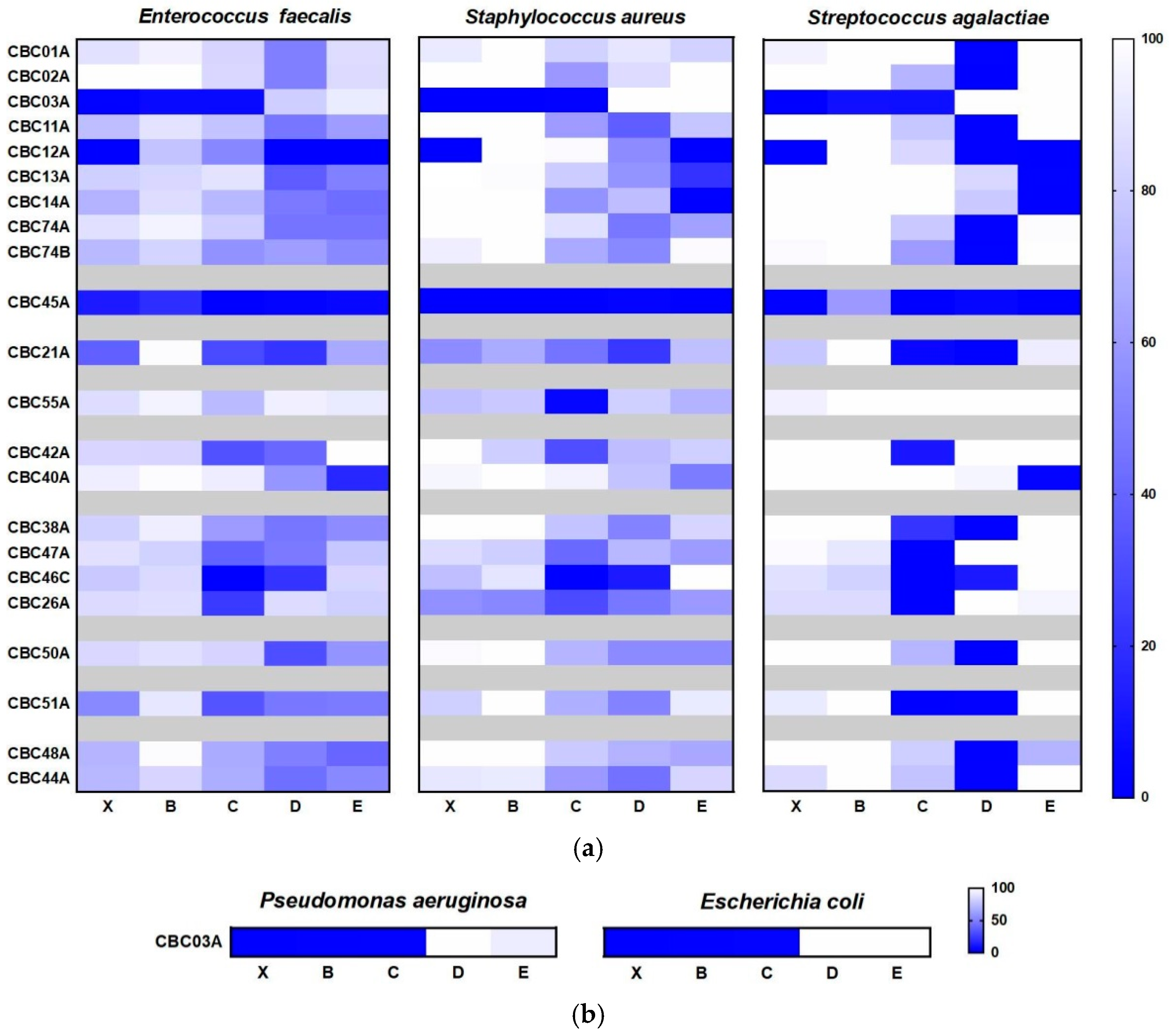 Marinedrugs 19 00640 g006