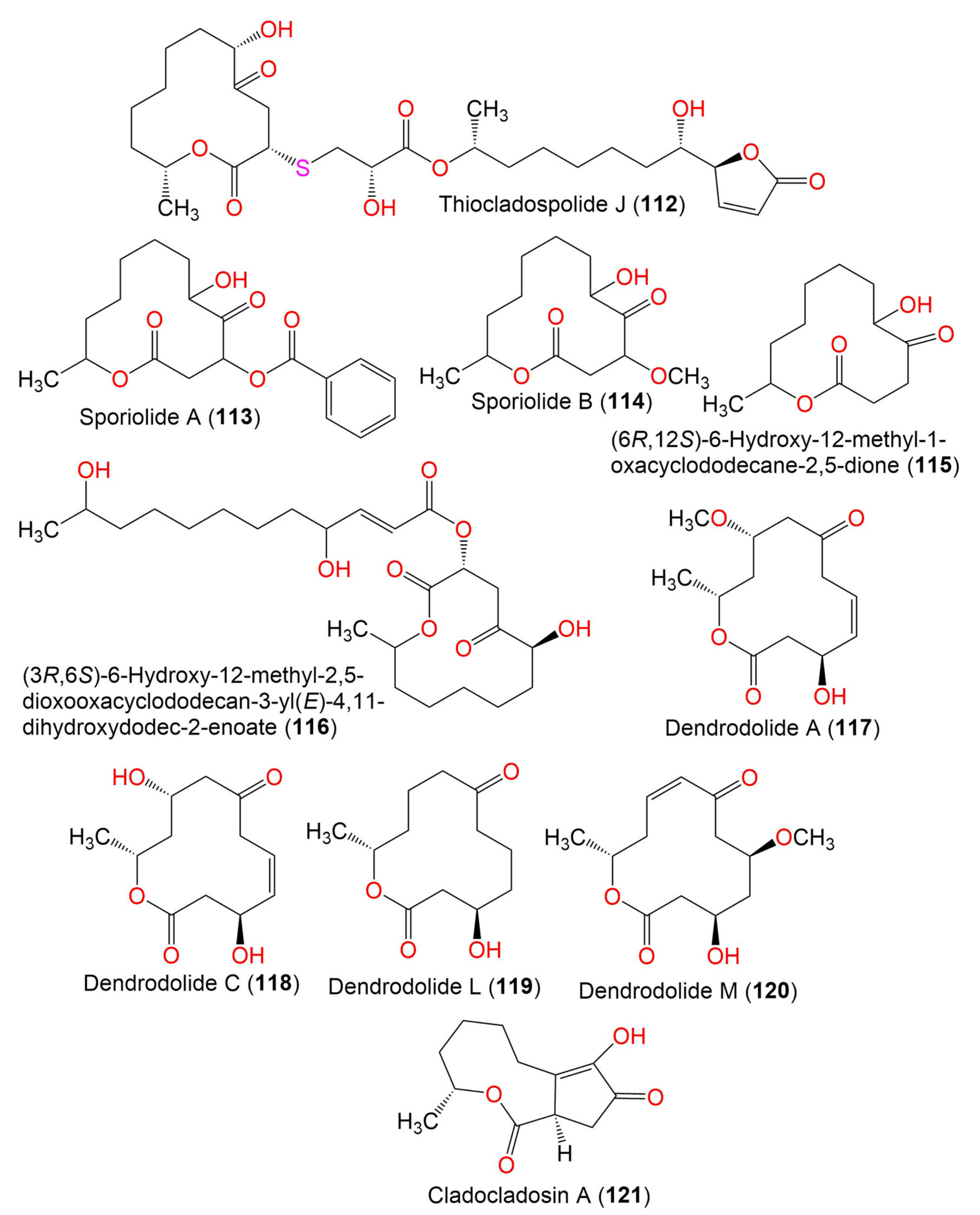 Marinedrugs 19 00645 g014