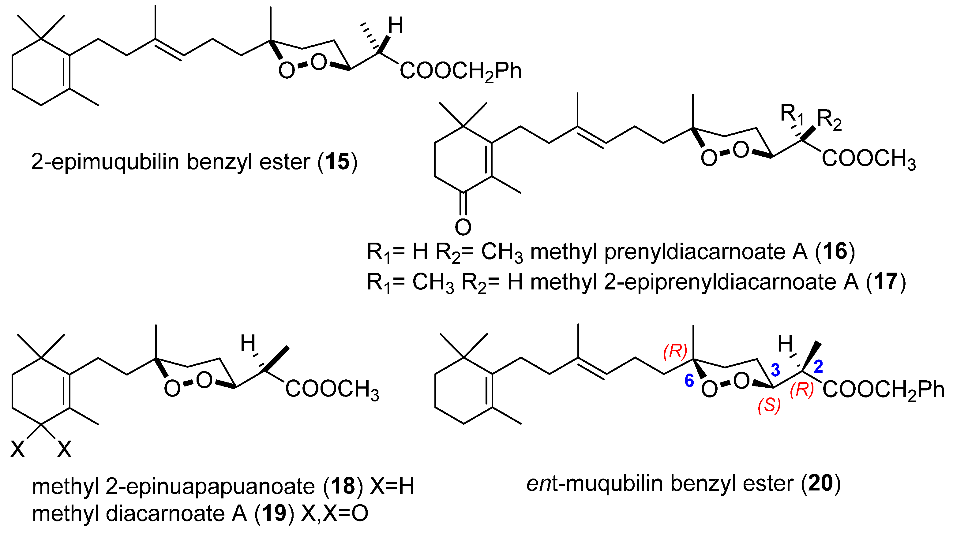 Marinedrugs 19 00661 g004