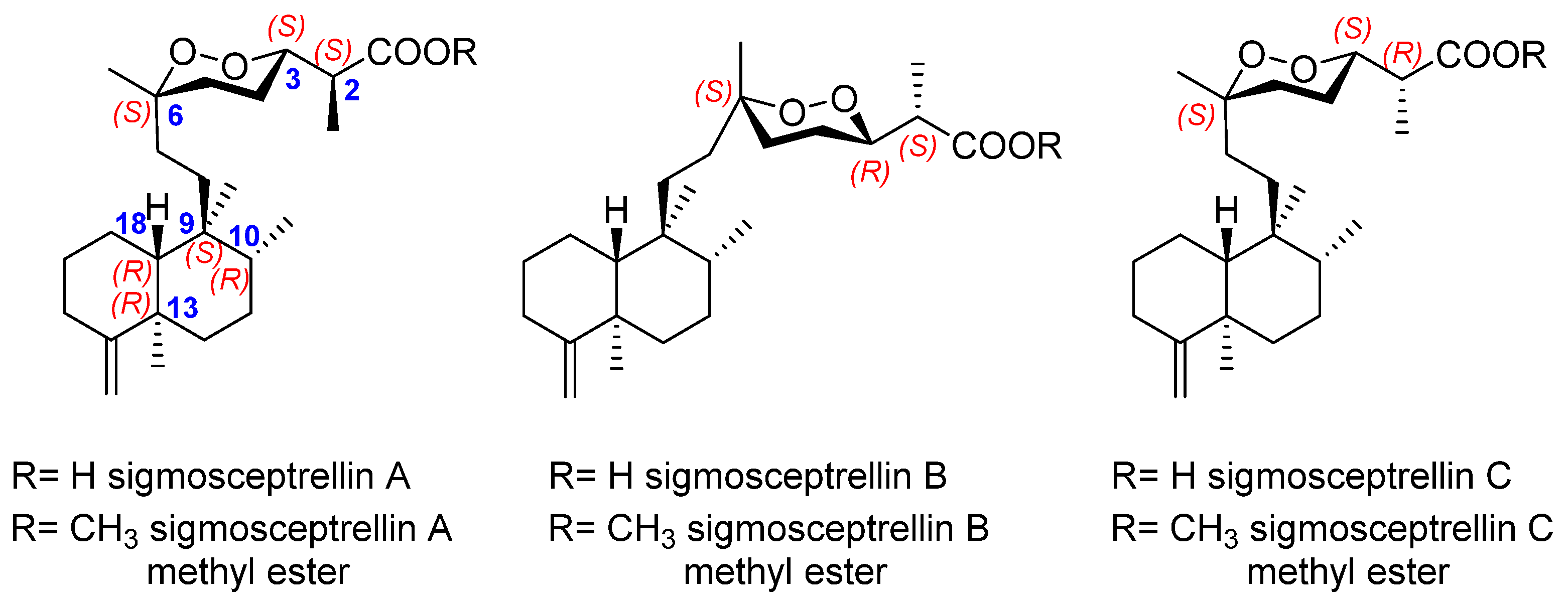 Marinedrugs 19 00661 g010